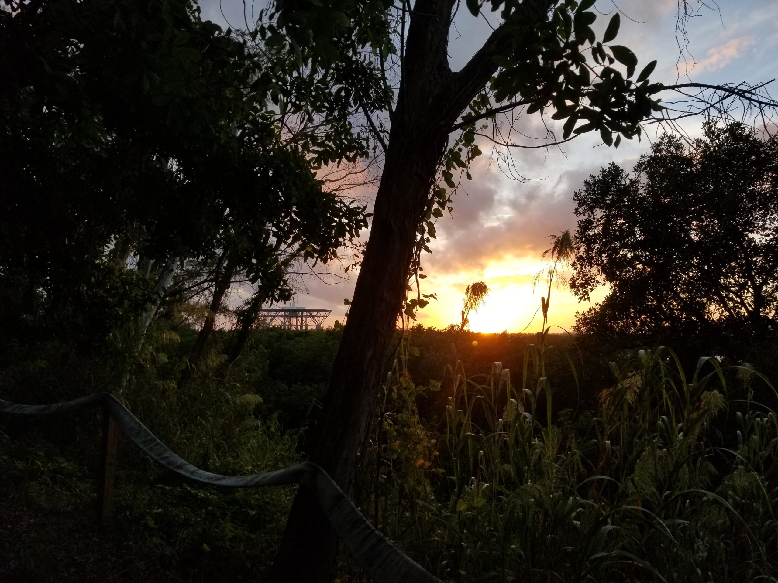 A sunset scene framed by trees and tall grass, with a silhouette of a structure in the background. The sky features a blend of warm colors, including oranges, yellows, and hints of purple, creating a peaceful and natural atmosphere. Virginia Key North Point mountain bike trail.