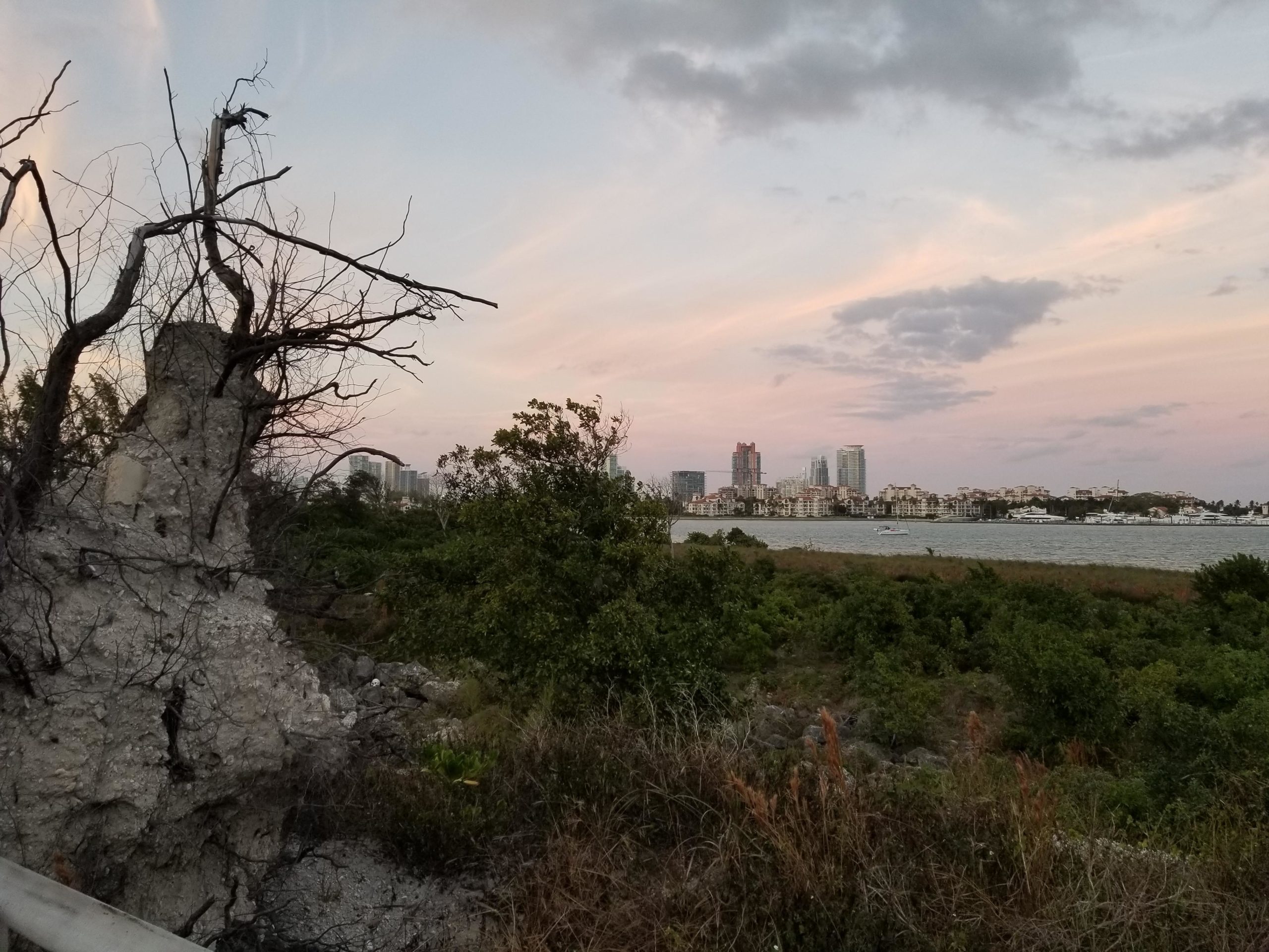 A view of a coastal area featuring a crumbling concrete structure with bare branches on top, surrounded by green vegetation. In the background, a skyline with modern buildings is visible against a colorful sunset sky over the water. Virginia Key North Point mountain bike trail.