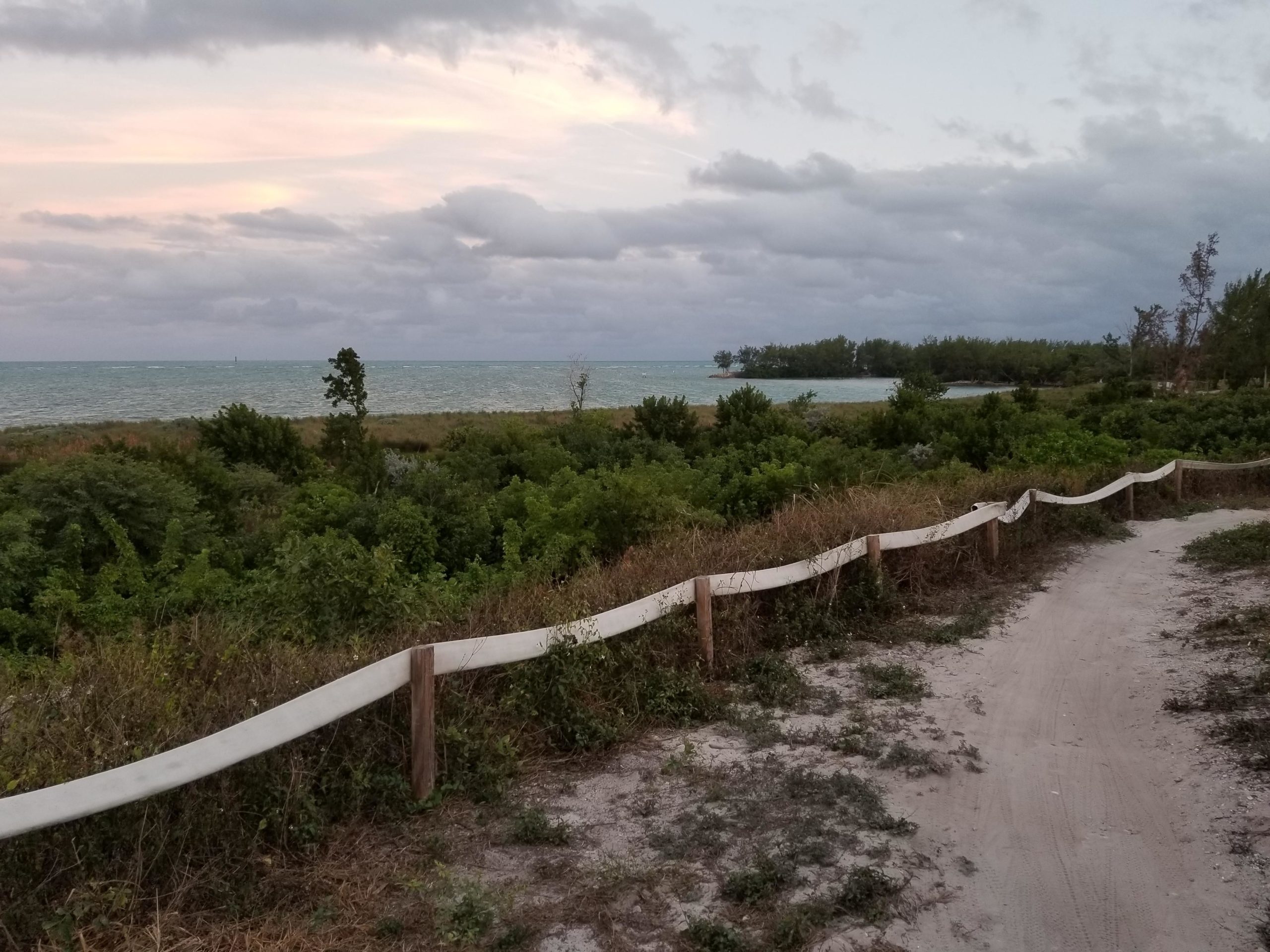  Virginia Key North Point mountain bike trail.