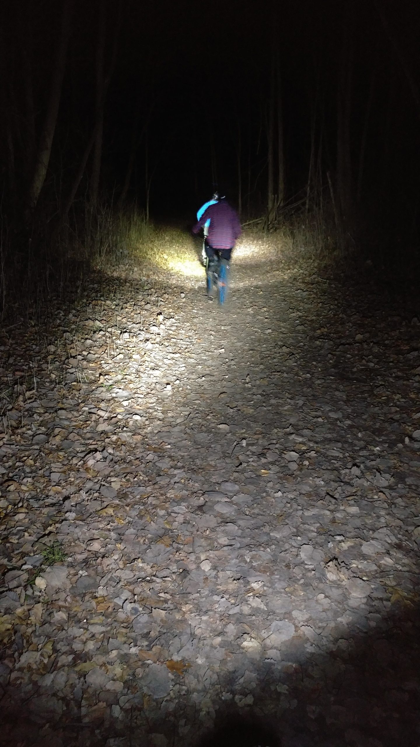 A person riding a bicycle on a rocky, dimly lit trail at night, illuminated by a bright front light, surrounded by trees and foliage. Glacial Blue Hills mountain bike trail.