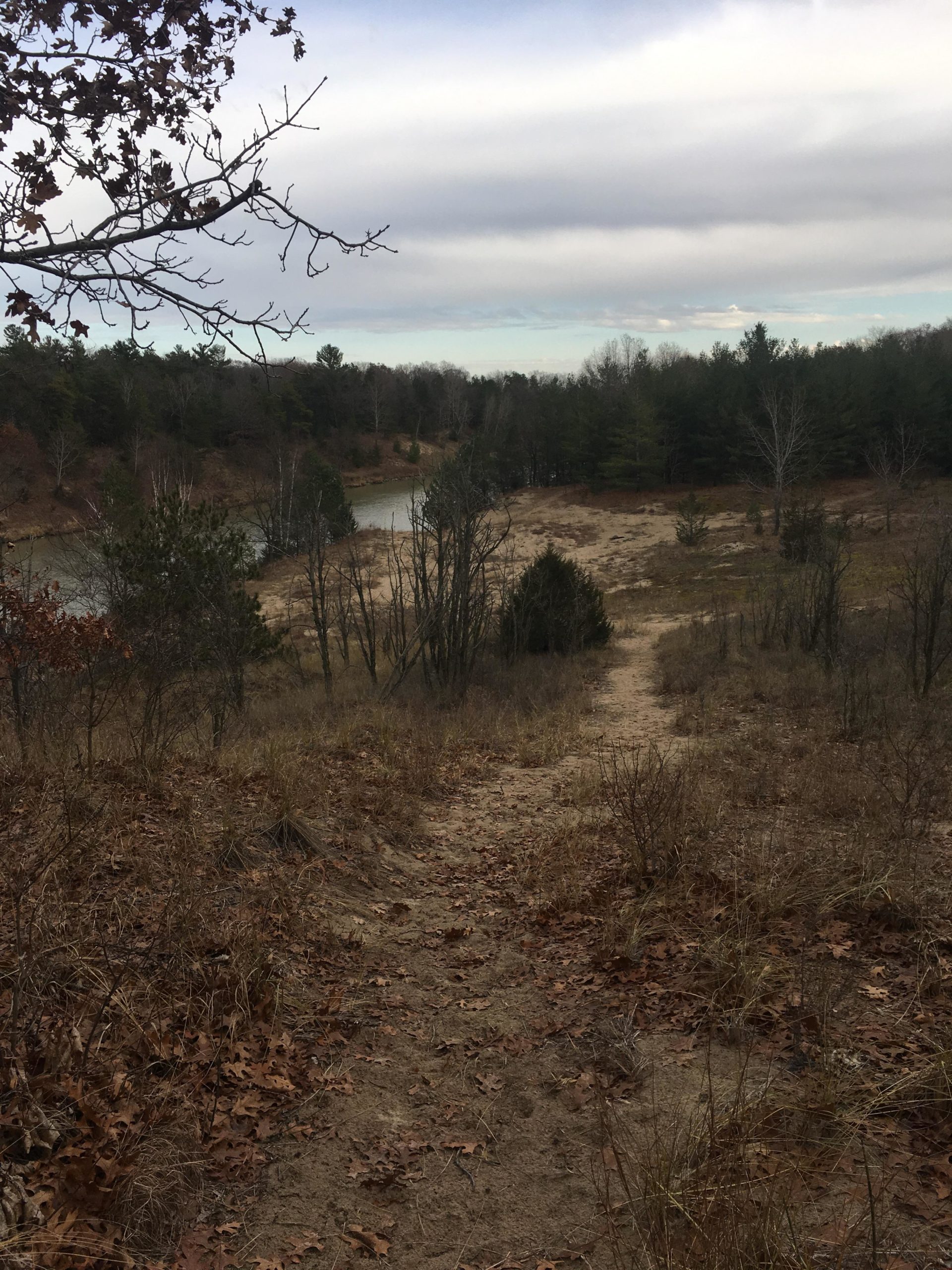 A scenic view of a natural landscape featuring a winding path leading down to a small pond, surrounded by dry grasses and scattered leaves. The area is bordered by trees, with a mix of evergreens and deciduous trees, under a cloudy sky with hints of blue peeking through.  Lambton County Heritage Forest mountain bike trail.