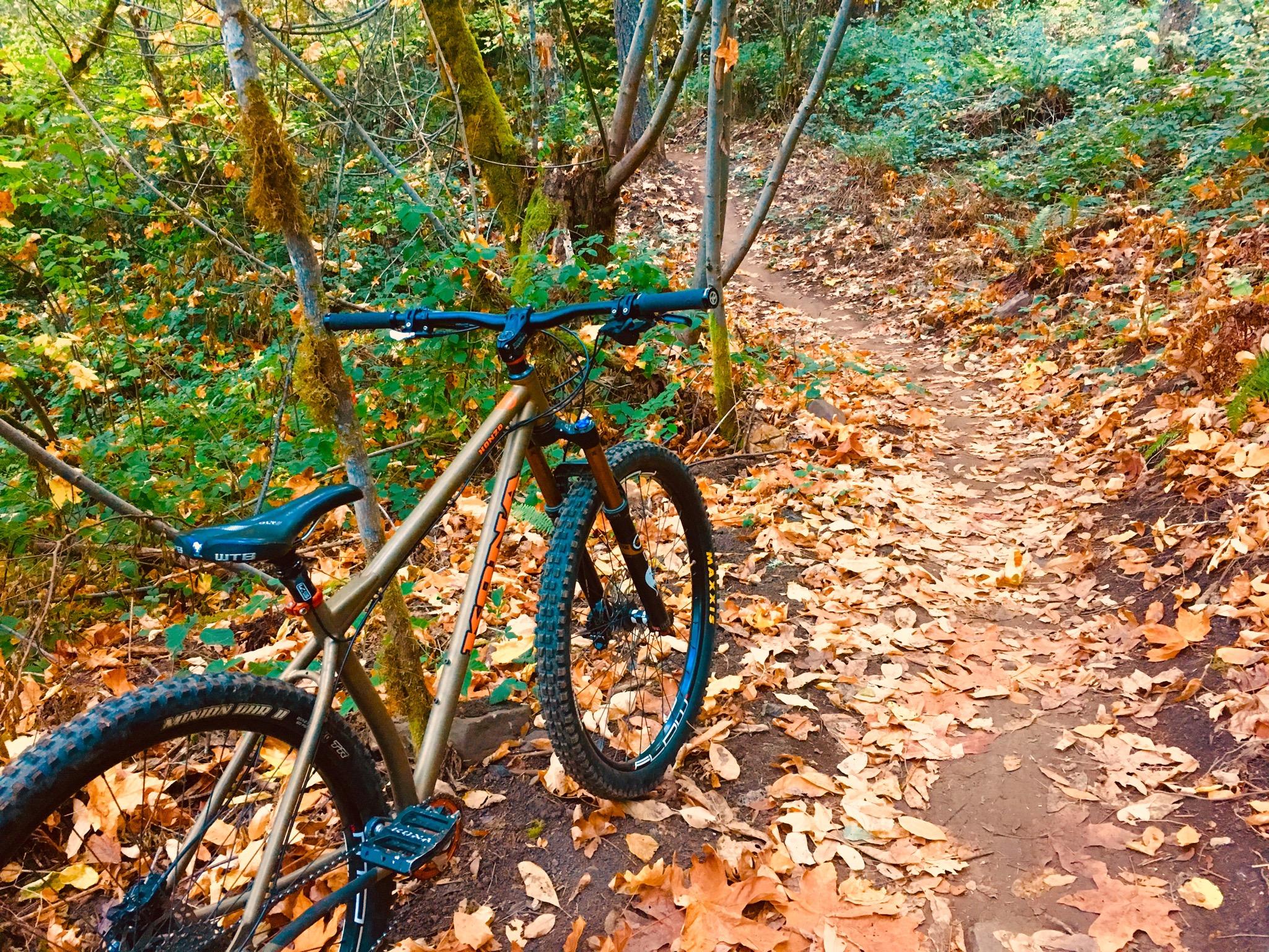 Kona Honzo: A mountain bike rests on a leaf-covered trail surrounded by lush green foliage and trees, showcasing the beauty of nature in an autumn setting.