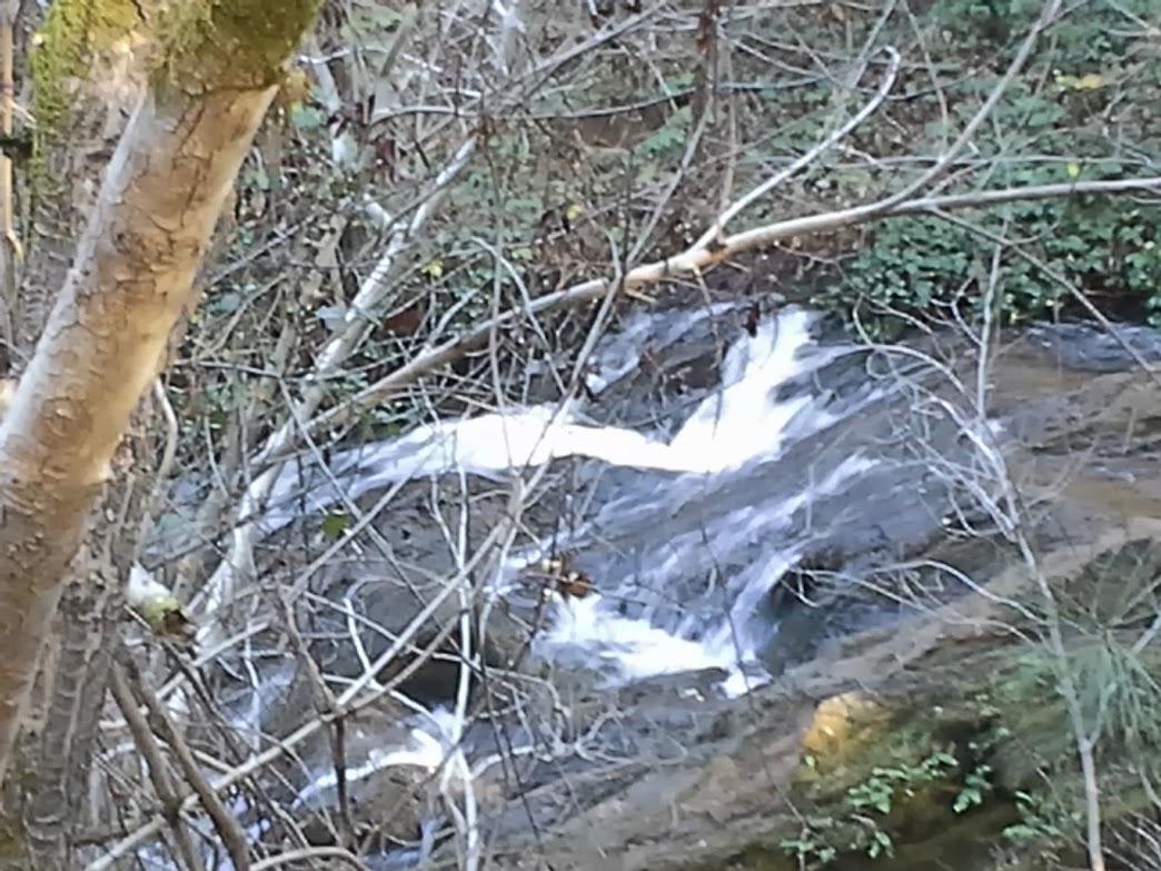 A serene landscape featuring a gently flowing waterfall cascading over rocky terrain, surrounded by bare branches and lush green foliage in a wooded area. Hidden Falls Regional Park mountain bike trail.