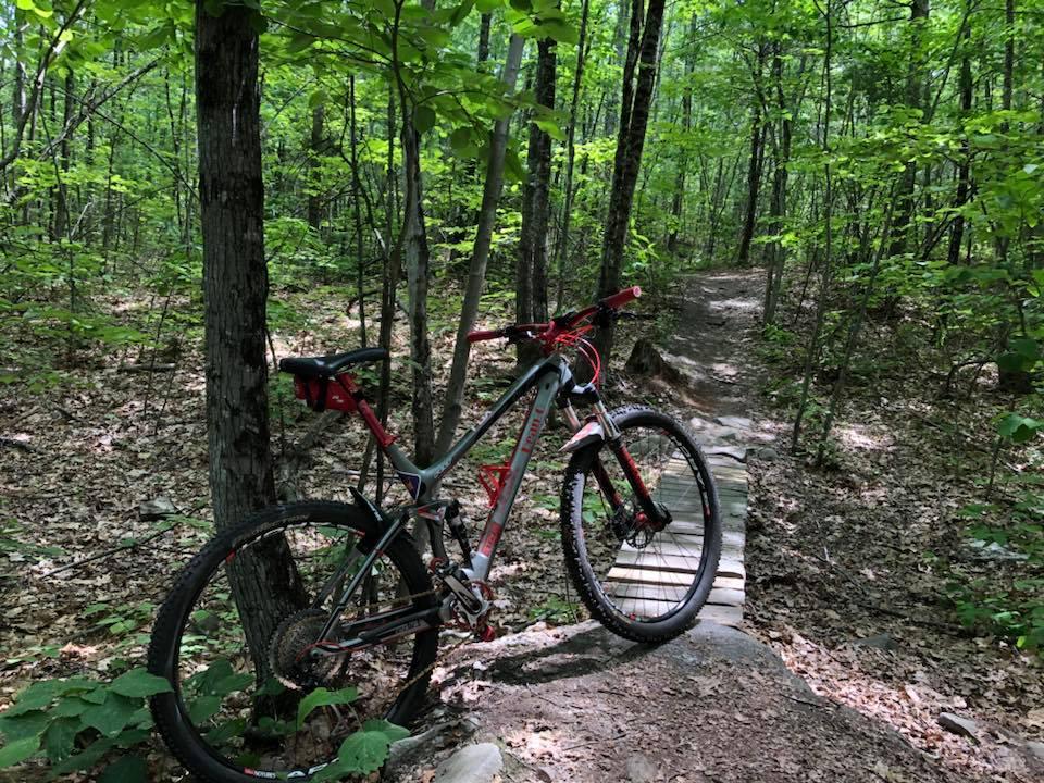 Felt Edict Nine 3: A mountain bike resting against a tree along a dirt trail in a lush green forest. The trail features a wooden bridge, surrounded by vibrant foliage and a natural wooded environment.