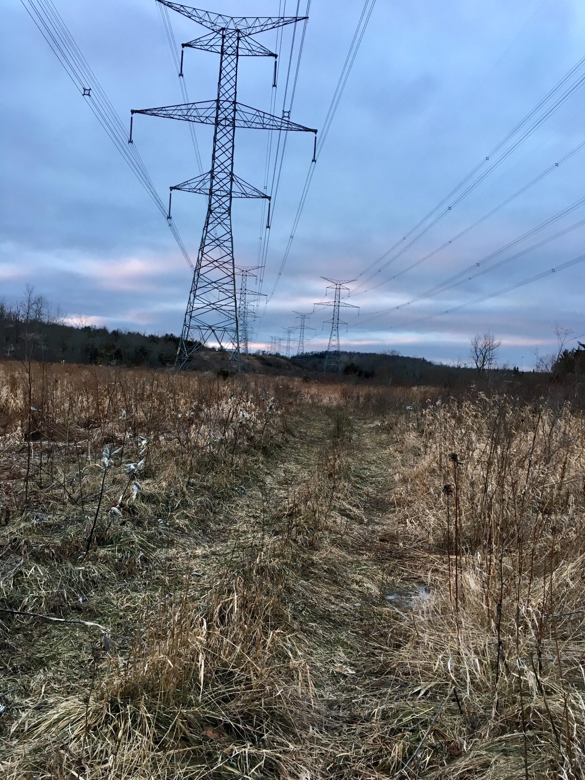 A narrow dirt path bordered by tall grasses and sparse vegetation, leading towards several high-voltage power lines towering against a cloudy sky. The landscape appears open and natural, with a hint of a forested area in the background. Batawa Trails mountain bike trail.