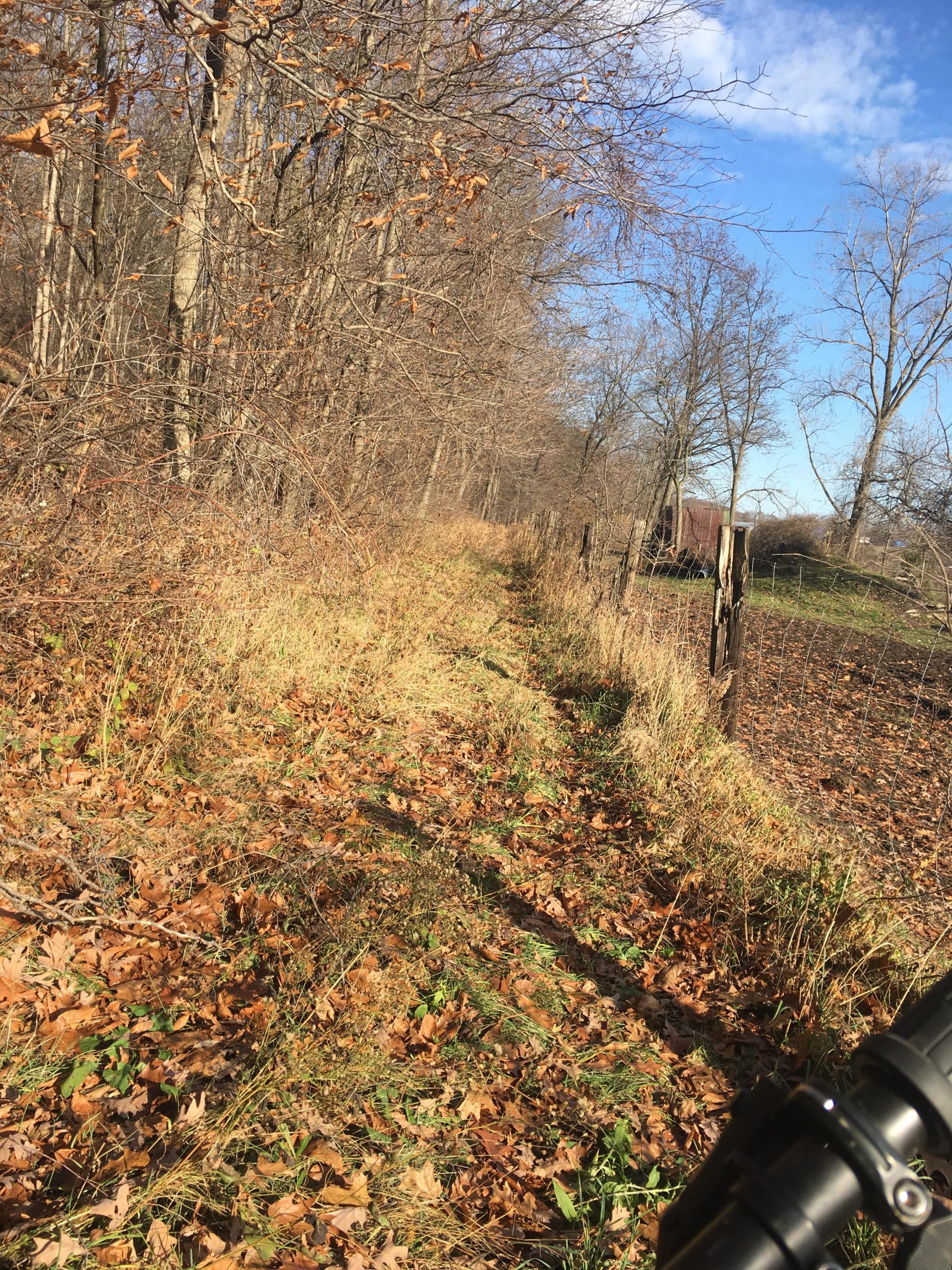 A narrow path lined with tall grasses and fallen leaves, flanked by trees in winter. A barbed wire fence is visible on one side, with a glimpse of a rustic shed in the background under a clear blue sky. The ground is covered with a mixture of brown leaves, suggesting autumn or early winter. Lambton County Heritage Forest mountain bike trail.