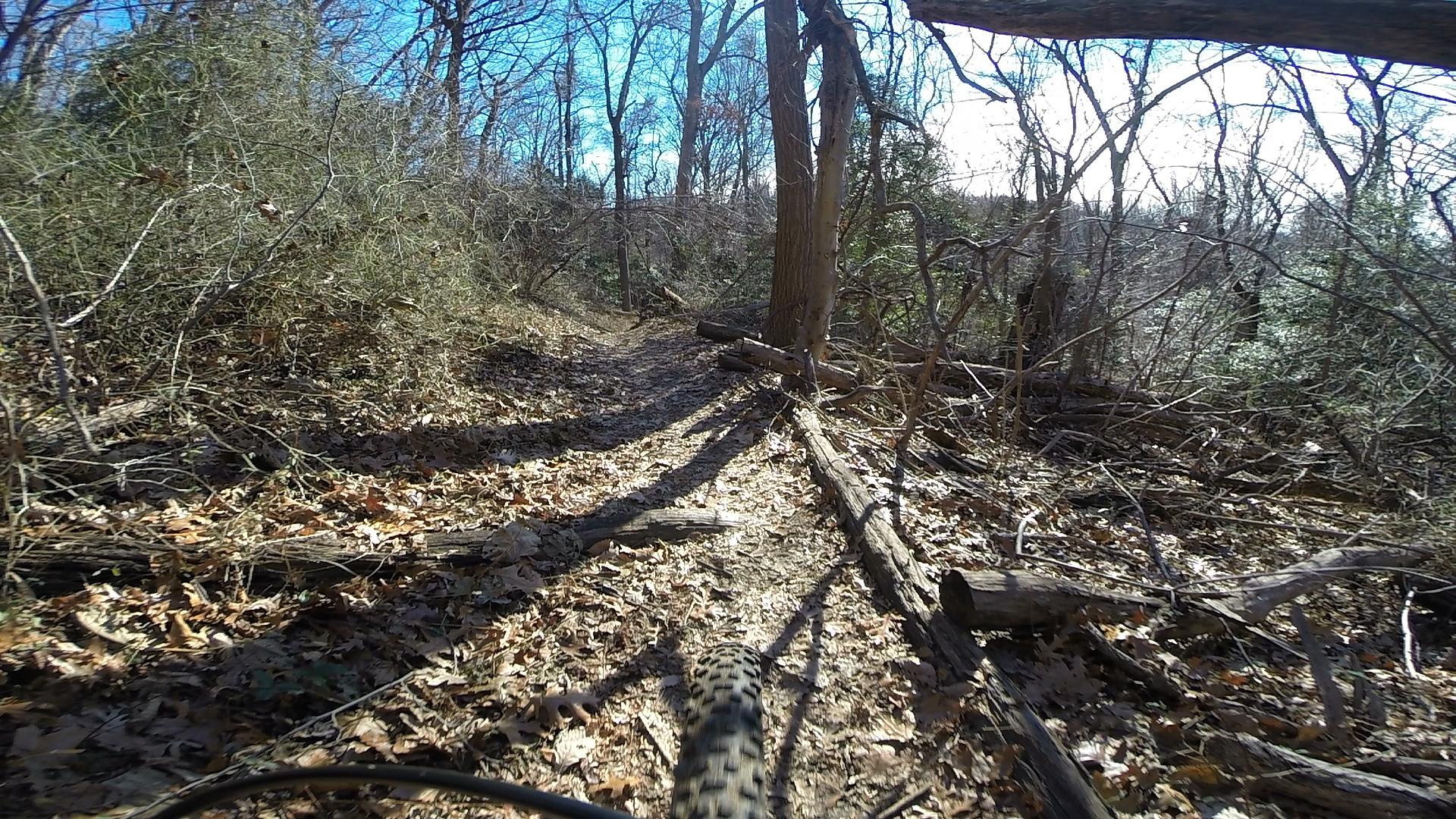 A narrow mountain biking trail winding through a wooded area, with fallen leaves and branches on the ground. Sunlight filters through the trees, casting shadows along the path. The foreground shows the wheel of a bicycle, emphasizing the perspective of a rider navigating the trail. Hartshorne Woods Park mountain bike trail.