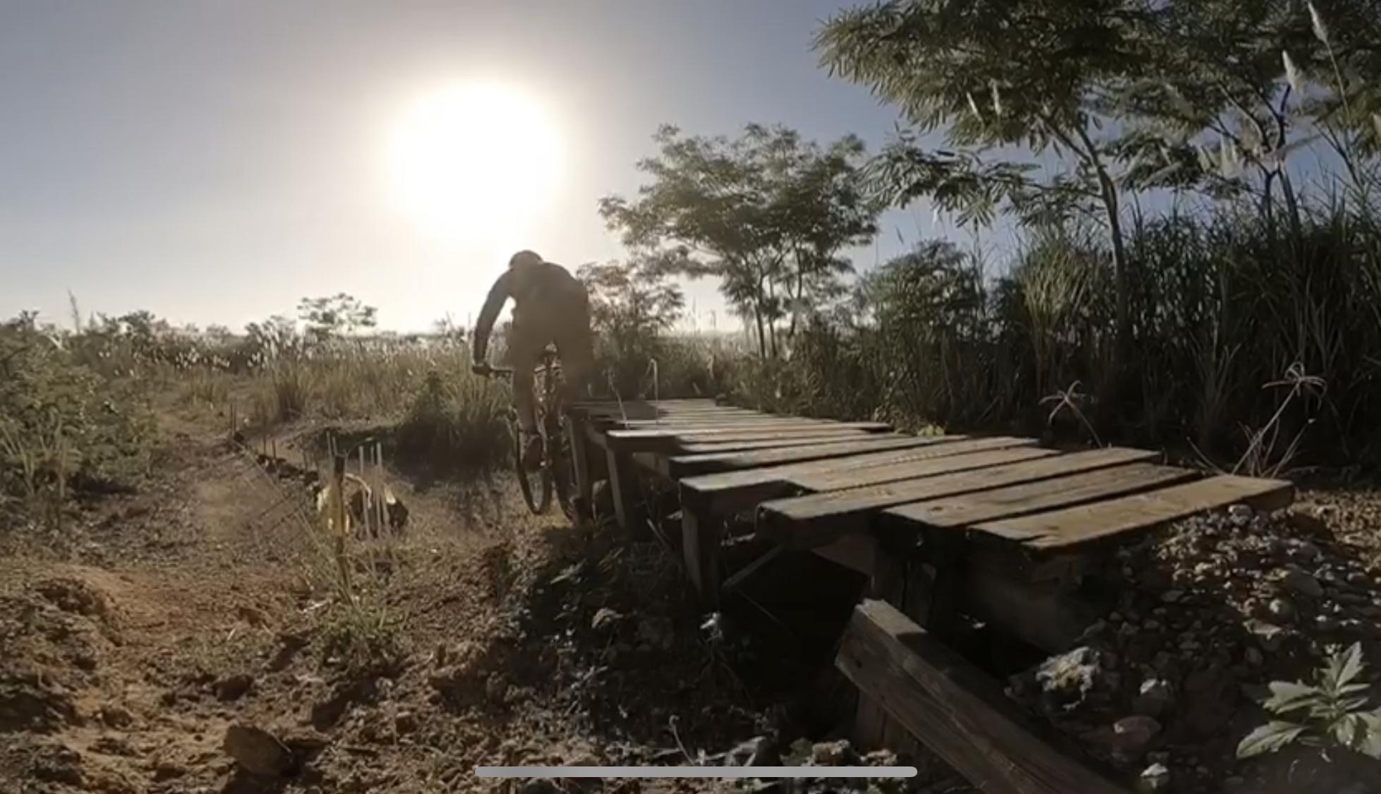 A mountain biker is mid-air as they jump off a wooden ramp, surrounded by a dirt path and tall grass under a bright sun. The image captures the excitement of outdoor biking in a natural setting. Monte Realengo mountain bike trail.