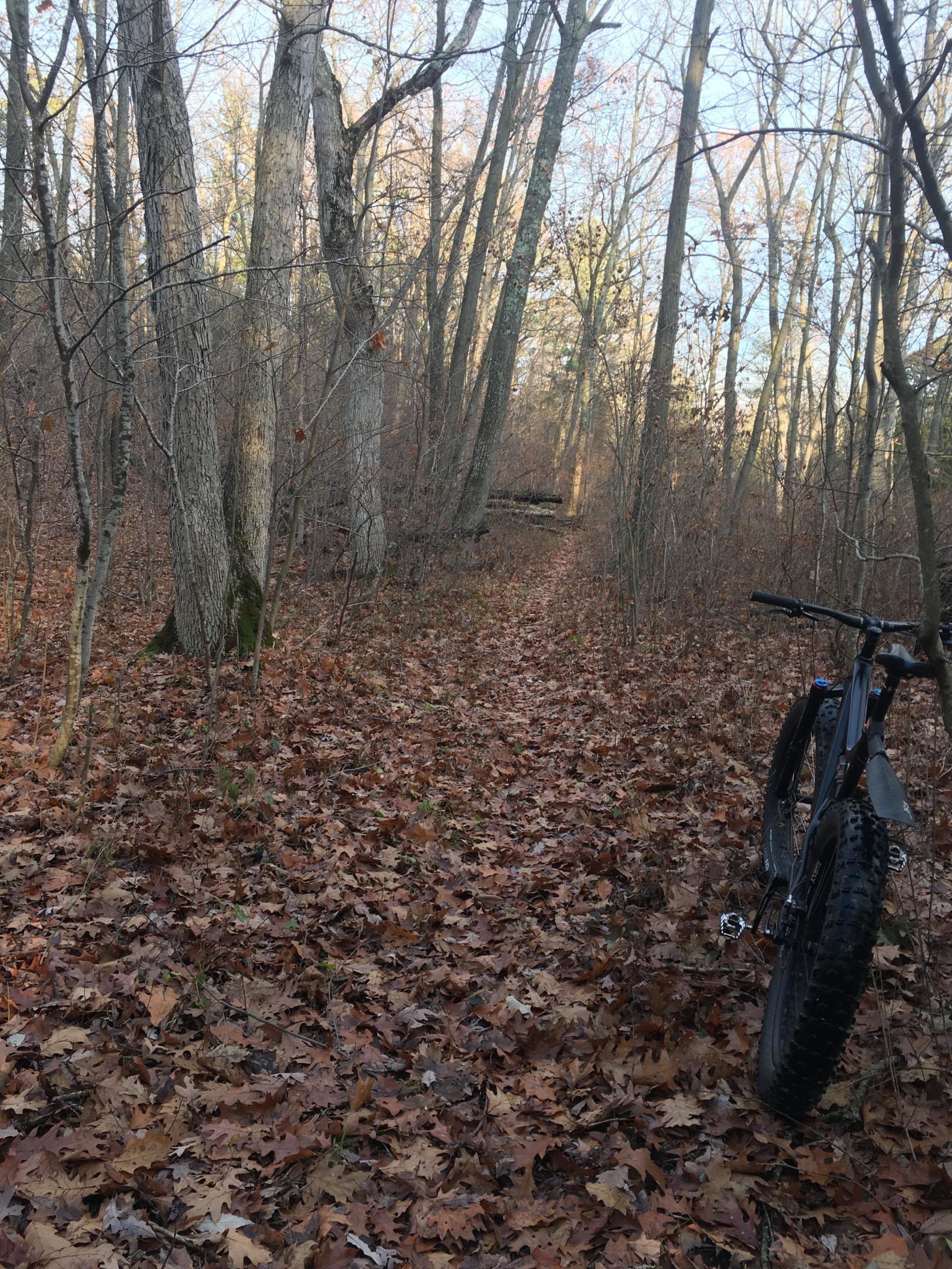 A forest trail covered with fallen leaves, surrounded by trees with bare branches. A black bicycle with thick tires is parked on the right side of the image, indicating a biking adventure in nature. The sunlight filters through the trees, casting a warm glow on the peaceful scene. Lambton County Heritage Forest mountain bike trail.