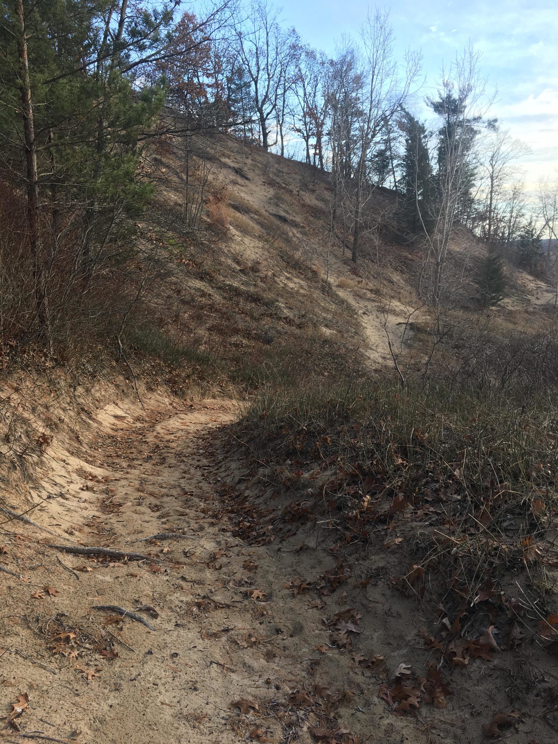 A winding dirt path surrounded by sparse trees on a hilly terrain, with scattered autumn leaves on the ground and a clear blue sky in the background. Lambton County Heritage Forest mountain bike trail.