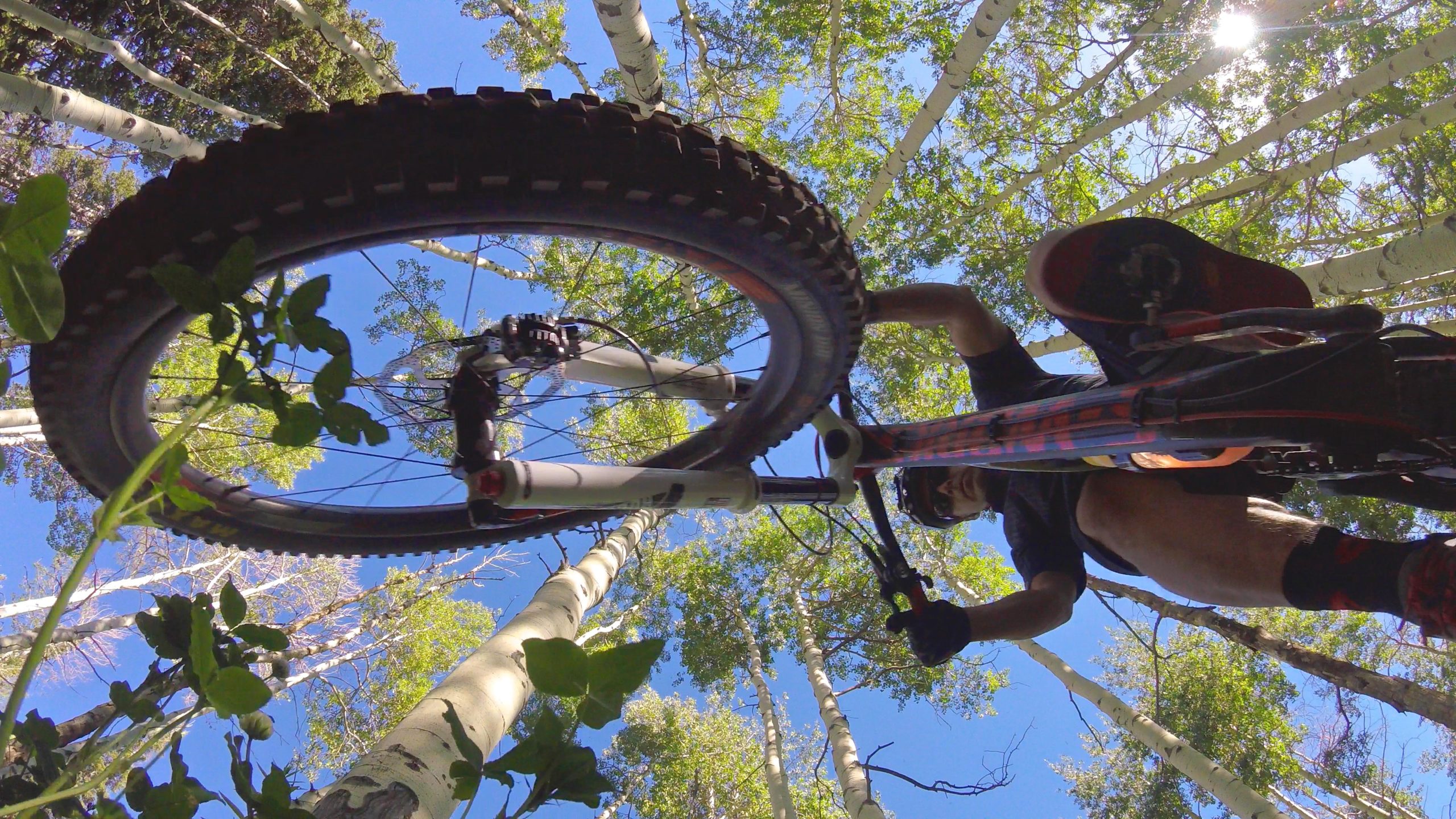 A low-angle view of a mountain biker riding through a forest of tall aspen trees, with a clear blue sky visible above. The bike's front wheel is prominently featured, surrounded by green foliage. The biker is seen from below, wearing a helmet and black gloves, focused on navigating the trail. Beaver Creek Ski Resort mountain bike trail.