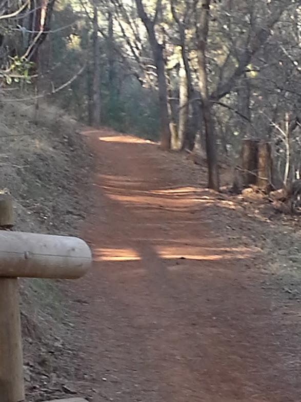A winding dirt path surrounded by trees, with sunlight filtering through the branches, creating a warm and inviting atmosphere. A wooden post is visible on the left side of the image, indicating the trail. Hidden Falls Regional Park mountain bike trail.