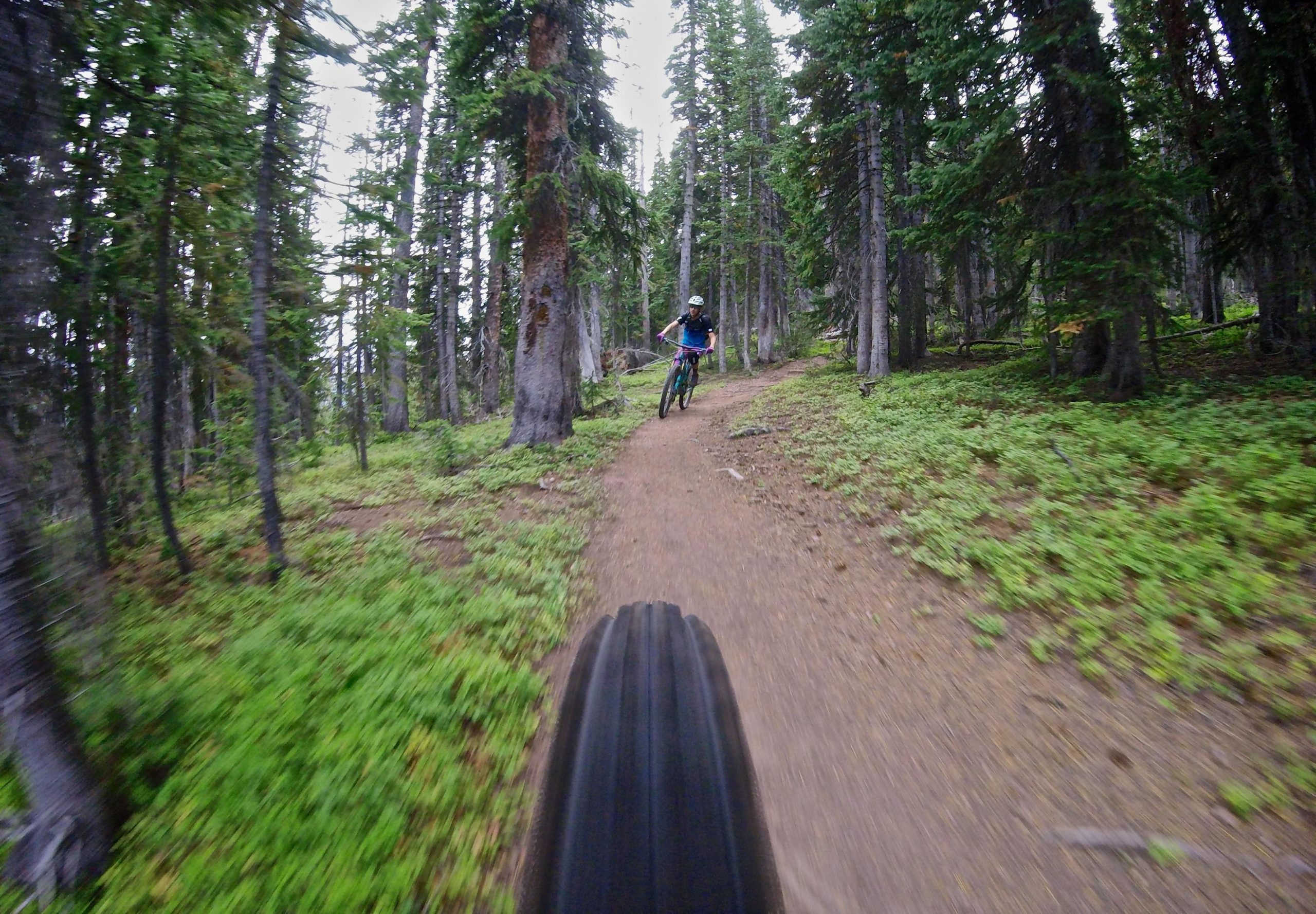 A mountain biker riding along a winding dirt trail through a lush forest, with trees lining either side. The image is taken from a low angle, focusing on the bike’s front tire while the rider is captured in motion ahead, creating a sense of speed and adventure. Two Elk via Vail Pass mountain bike trail.
