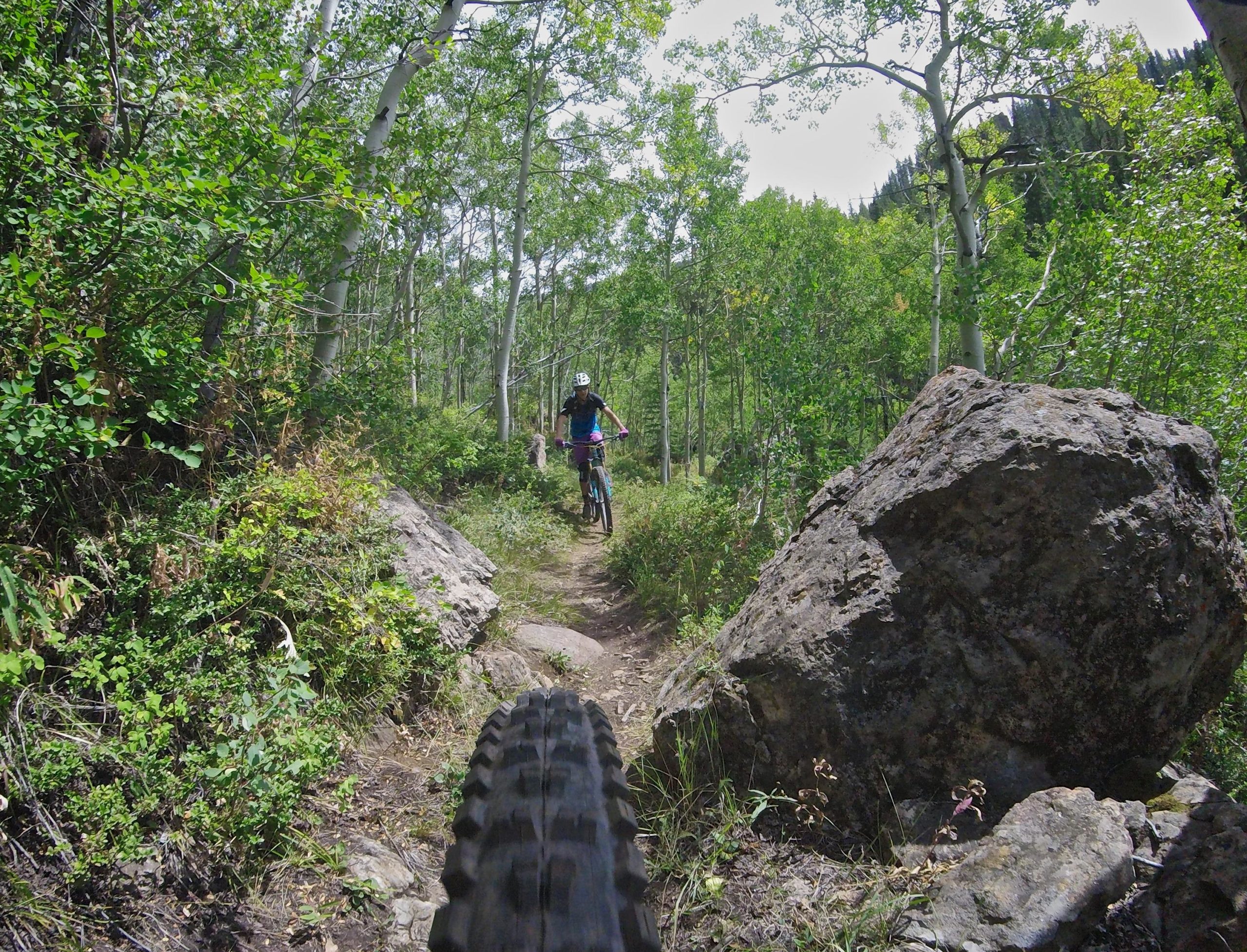 A mountain biker navigating a narrow trail surrounded by lush greenery and tall trees, with a large boulder visible in the foreground and a clear blue sky overhead. Two Elk via Vail Pass mountain bike trail.