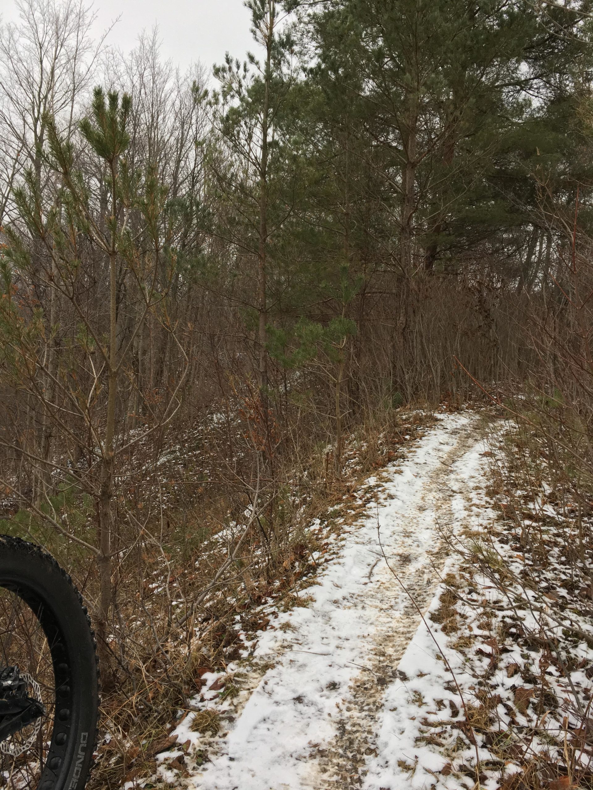 A snowy trail winding through a forested area, surrounded by a mix of bare trees and evergreen foliage. A portion of a mountain bike tire is visible on the left, suggesting recent use of the path. The scene is overcast, creating a serene, wintry atmosphere. Western University trails mountain bike trail.