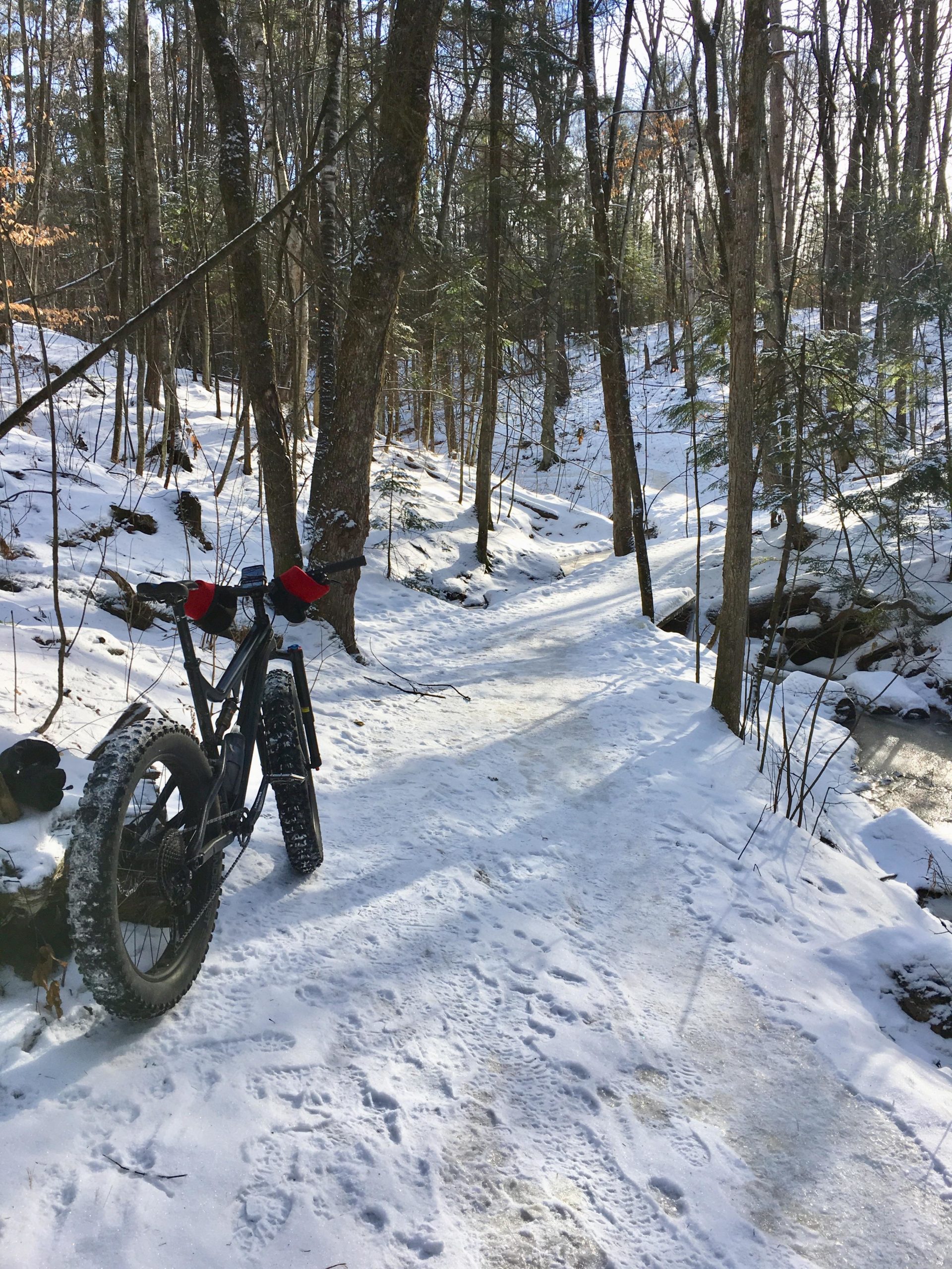 A fat tire bike resting on a snowy trail surrounded by tall trees in a winter forest. The path is covered in fresh snow, and sunlight filters through the branches, casting gentle shadows on the ground. A small stream is visible on the right side of the trail. Bilberry Creek mountain bike trail.
