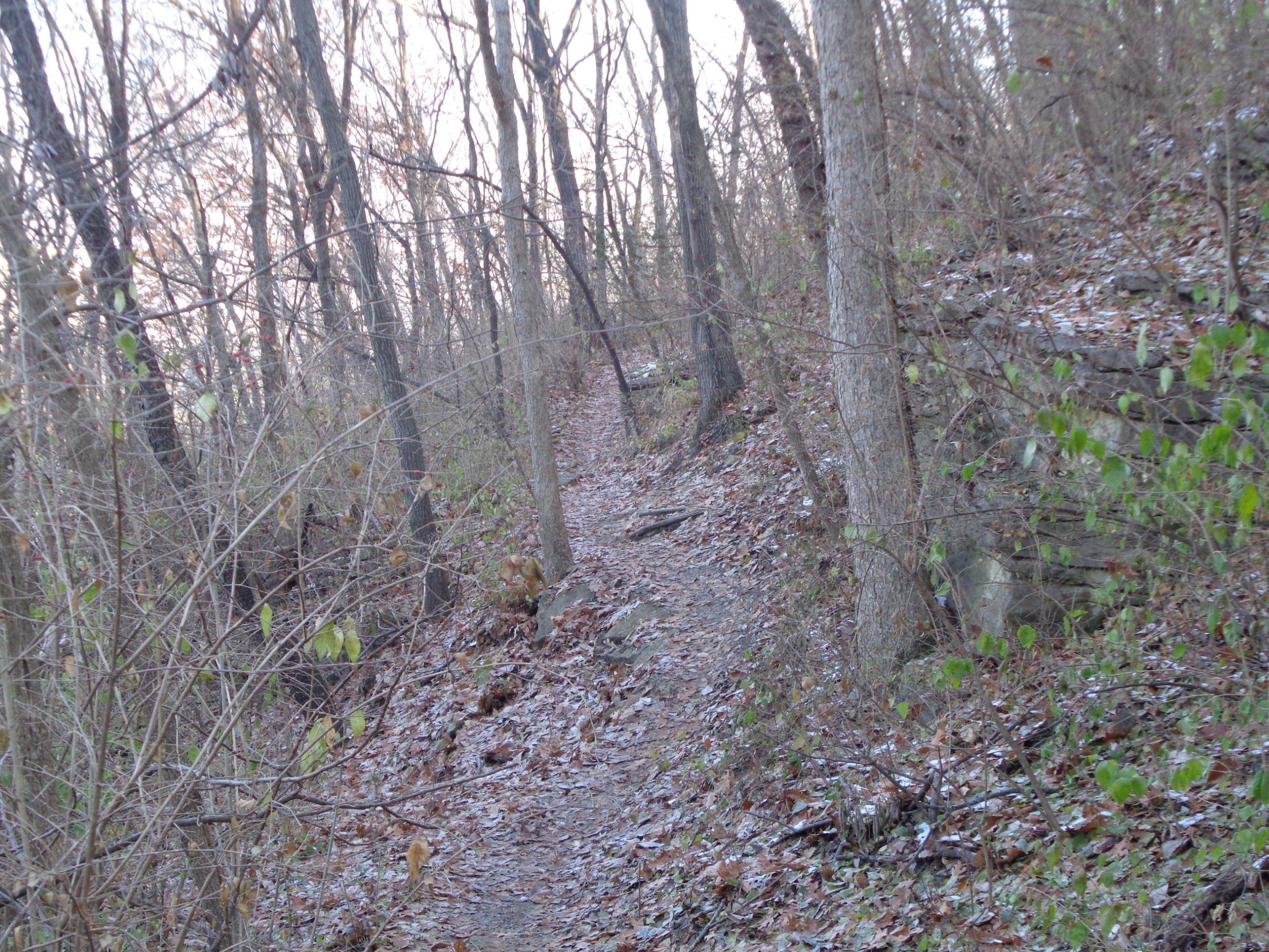 A narrow, winding dirt trail surrounded by bare trees and sparse underbrush, with fallen leaves covering the ground. The path is flanked by rocky terrain, suggesting a natural forest setting, and the light hints at early morning or late afternoon. Rozarks mountain bike trail.