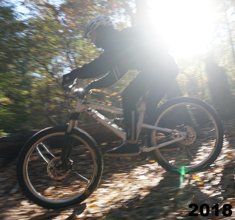 A mountain biker riding swiftly through a sunlit forest trail, surrounded by autumn foliage. The image captures the motion of the cyclist as they navigate over fallen leaves, with sunlight filtering through the trees, creating a dynamic and energetic scene. The year "2018" is indicated in the bottom corner. Maurice River Bluffs Nature Preserve mountain bike trail.