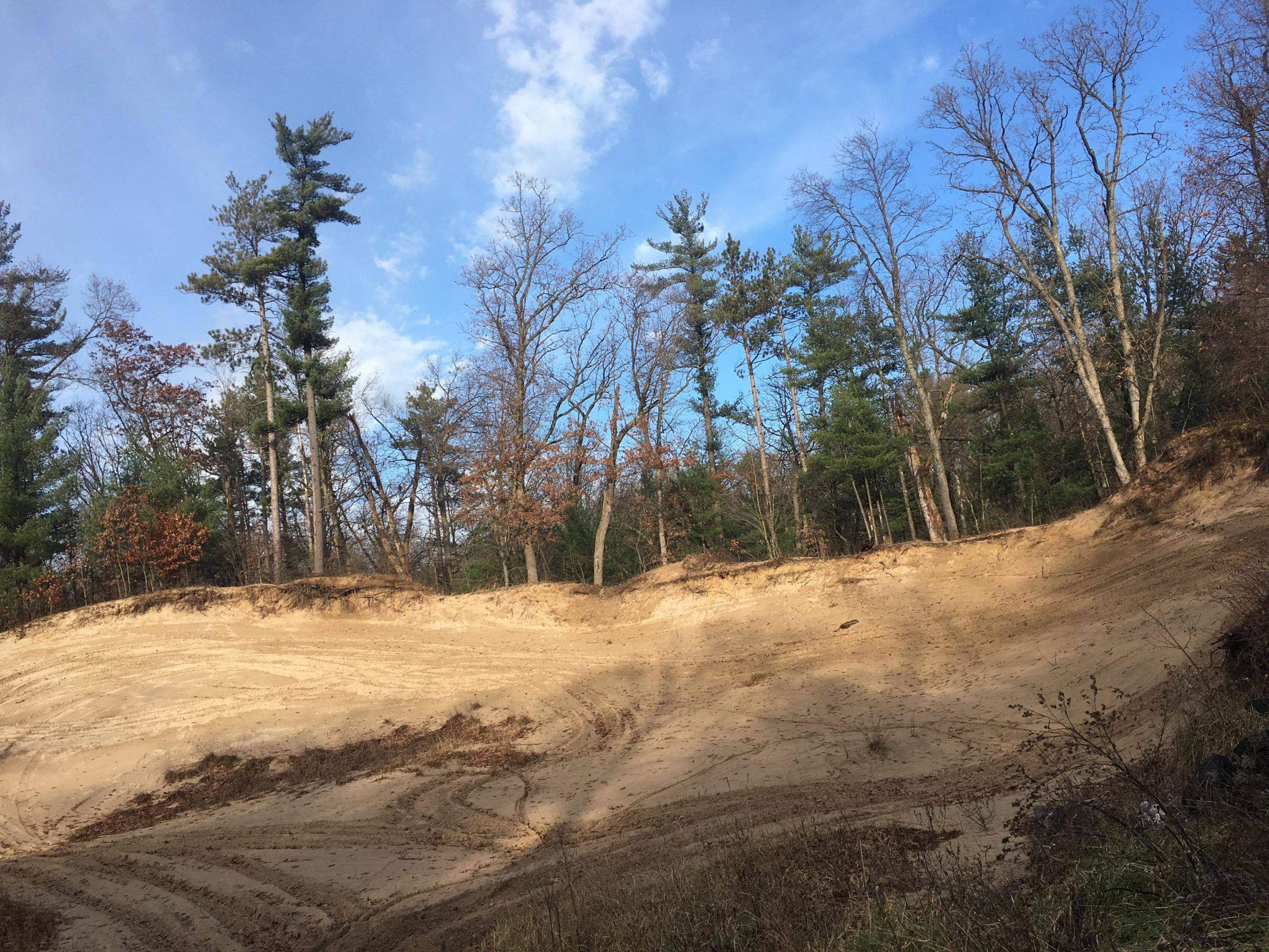 A sandy hillside with scattered patches of grass, surrounded by a dense forest of tall trees. The scene is set under a partly cloudy blue sky, with some trees showing signs of autumn foliage. Lambton County Heritage Forest mountain bike trail.