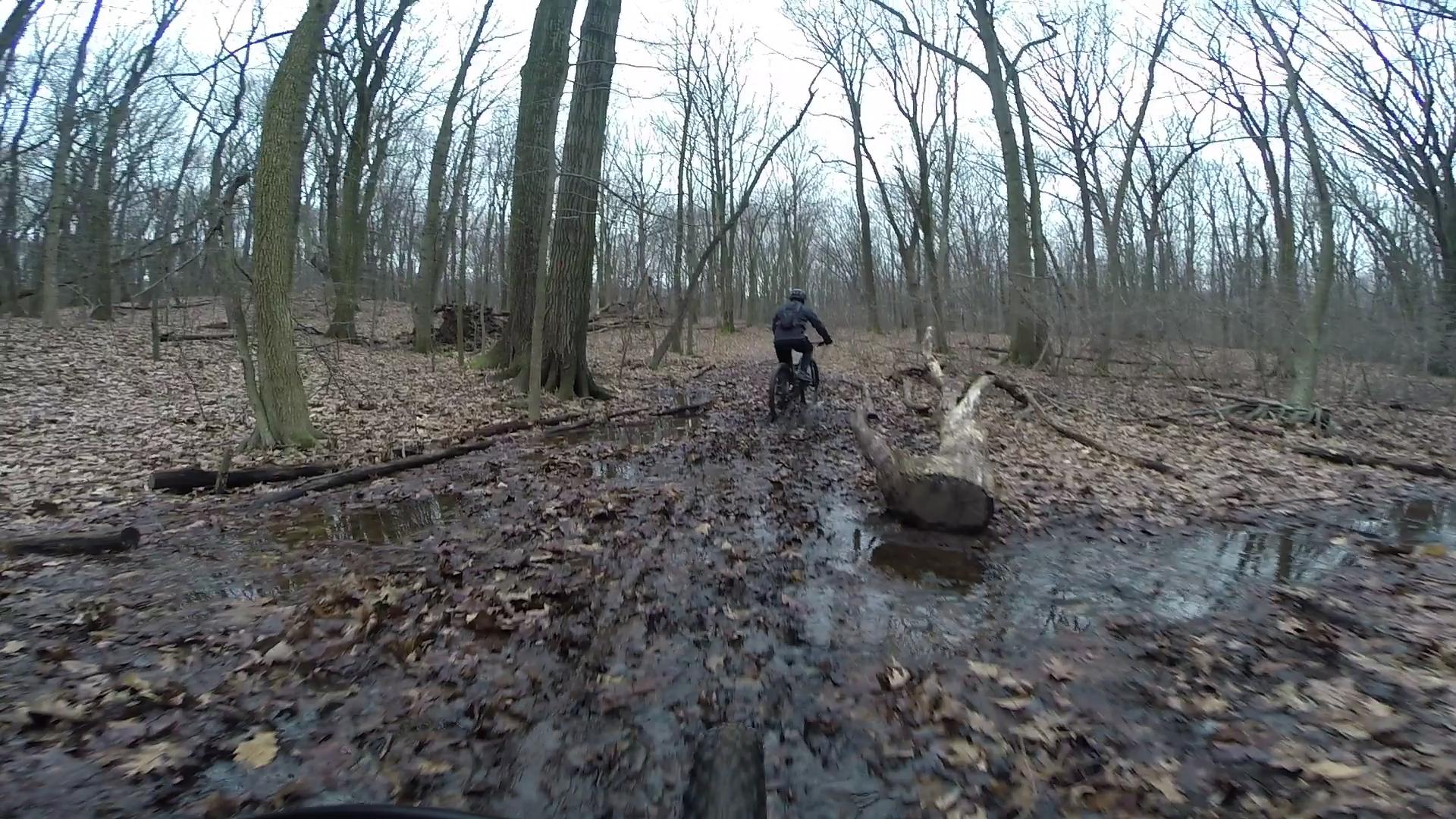 A cyclist riding through a muddy forest trail, surrounded by bare trees and a carpet of fallen leaves. Puddles of water are visible on the ground, reflecting the overcast sky. Richmond Avenue and Forest Hill road mountain bike trail.