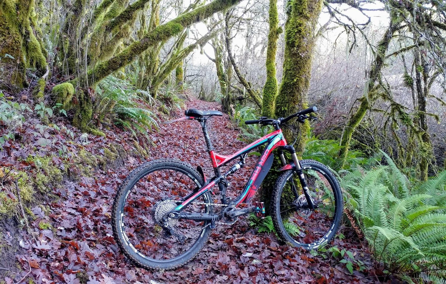 Haro Shift R5: A mountain bike parked on a winding trail surrounded by lush green foliage and fallen leaves, with moss-covered trees framing the path.
