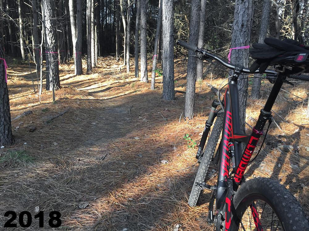 A mountain bike is parked next to a narrow dirt trail winding through a forest of tall trees. The ground is covered in pine needles, and some trees are marked with pink tape. The image is labeled with "2018" in bold text at the bottom. Maurice River Bluffs Nature Preserve mountain bike trail.