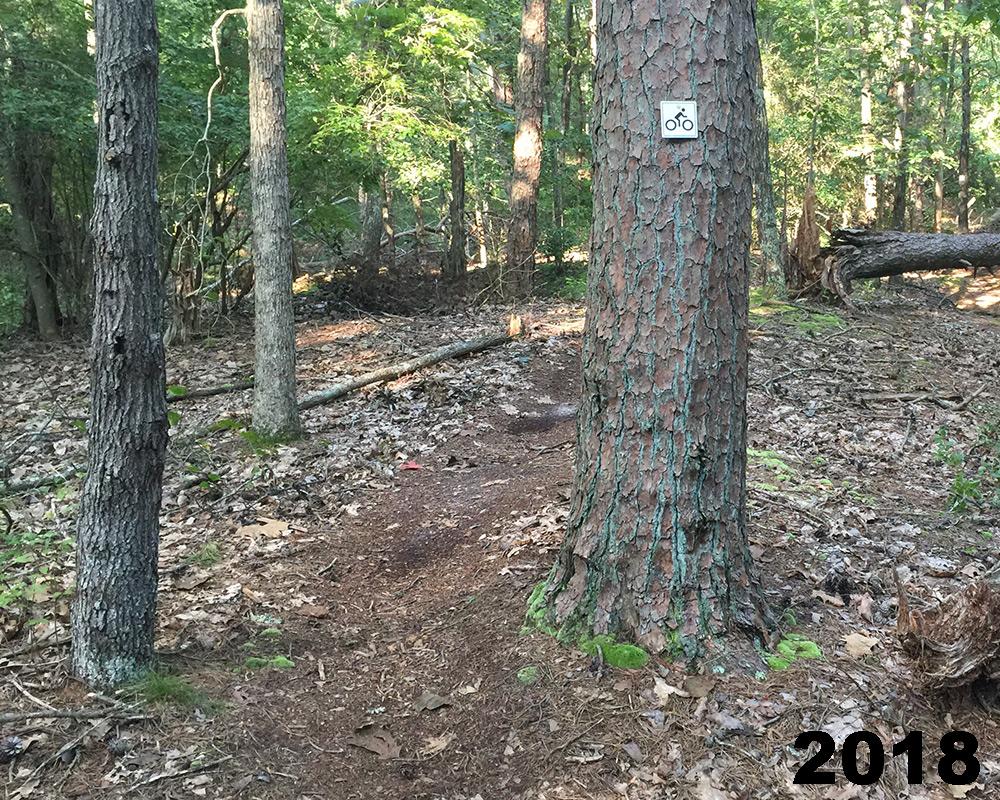 A dirt trail winding through a wooded area, with a bicycle trail sign attached to a tree on the right. The ground is covered in fallen leaves and small twigs, and sunlight filters through the trees, creating a serene atmosphere. The year "2018" is prominently displayed in the lower right corner. The bluffs mountain bike trail.
