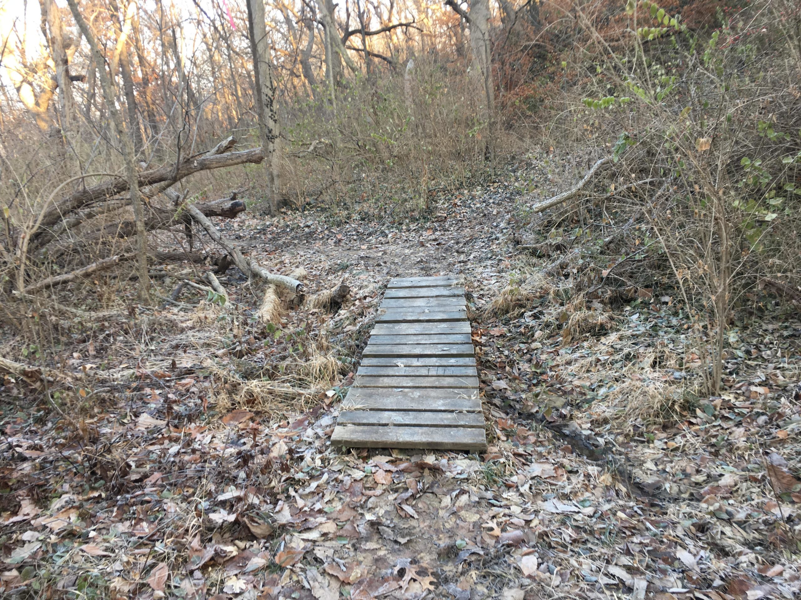 A narrow wooden bridge crossing a small, dry creek in a dense forested area, surrounded by fallen leaves, bare shrubs, and scattered twigs. The scene conveys a quiet, natural setting in autumn. Rozarks mountain bike trail.