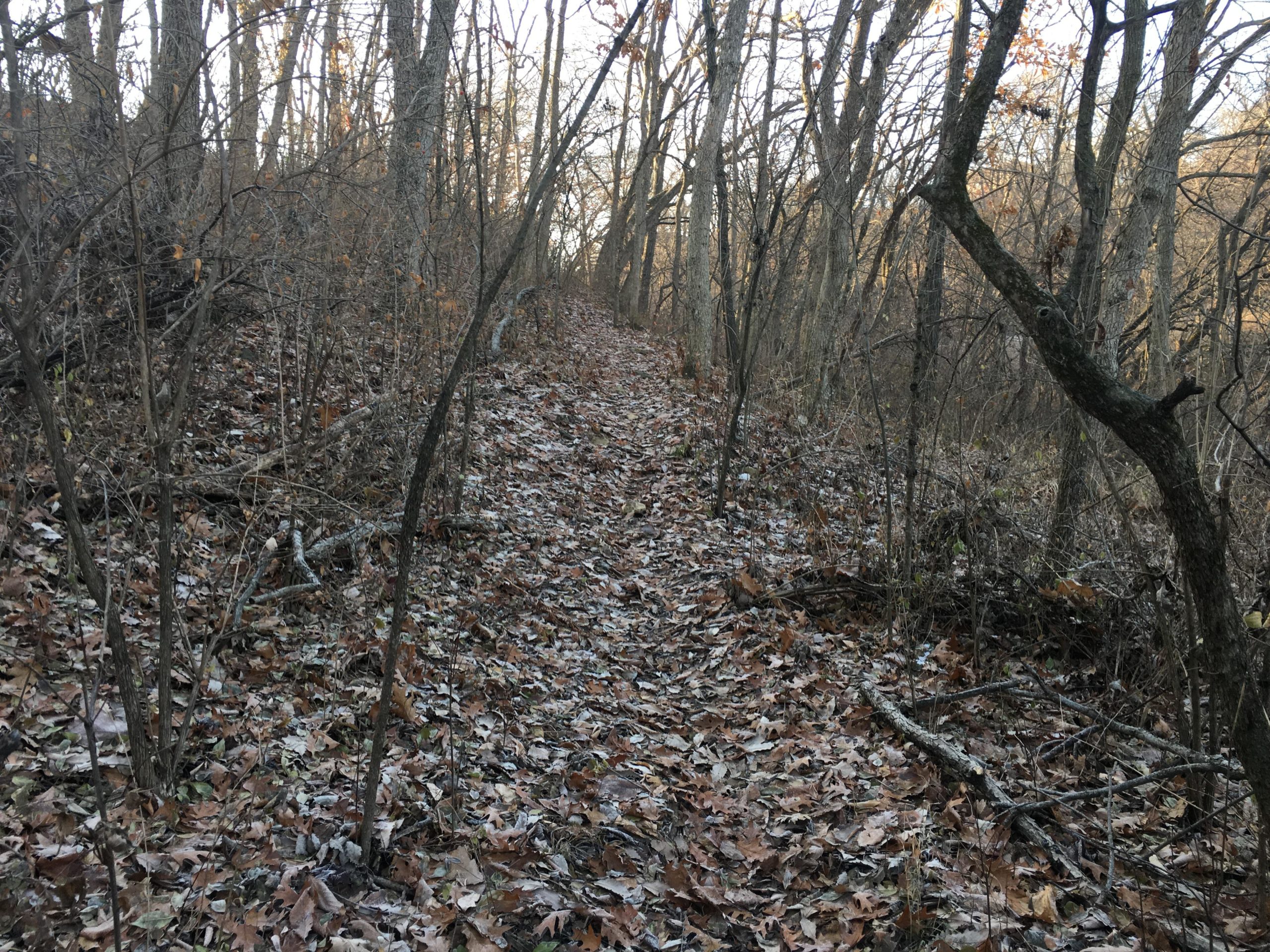 A narrow, winding trail through a quiet forest, covered with fallen leaves. The surroundings feature bare trees and shrubs, creating a serene, natural atmosphere. Rozarks mountain bike trail.