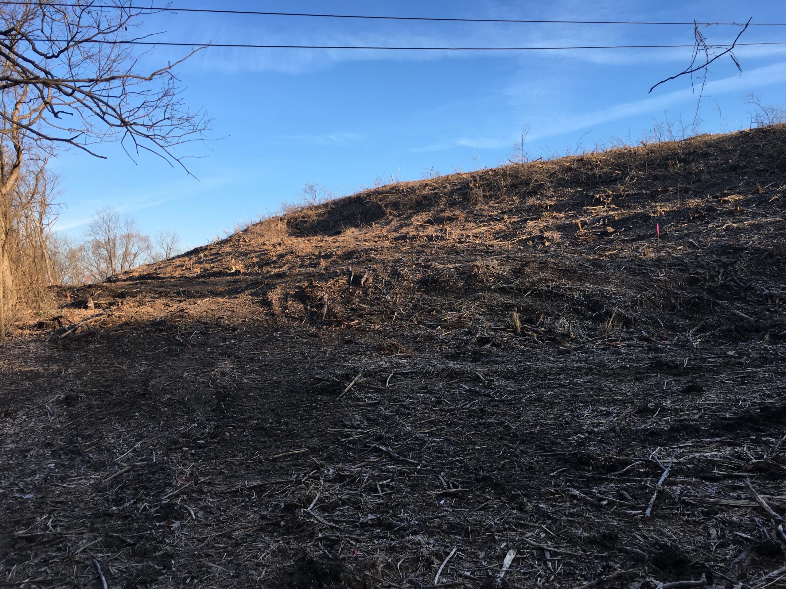 A barren hillside with cleared vegetation, showing soil and scattered debris under a clear blue sky. Some bare trees are visible in the background, and there are pink markers in the foreground, indicating areas of interest. Rozarks mountain bike trail.