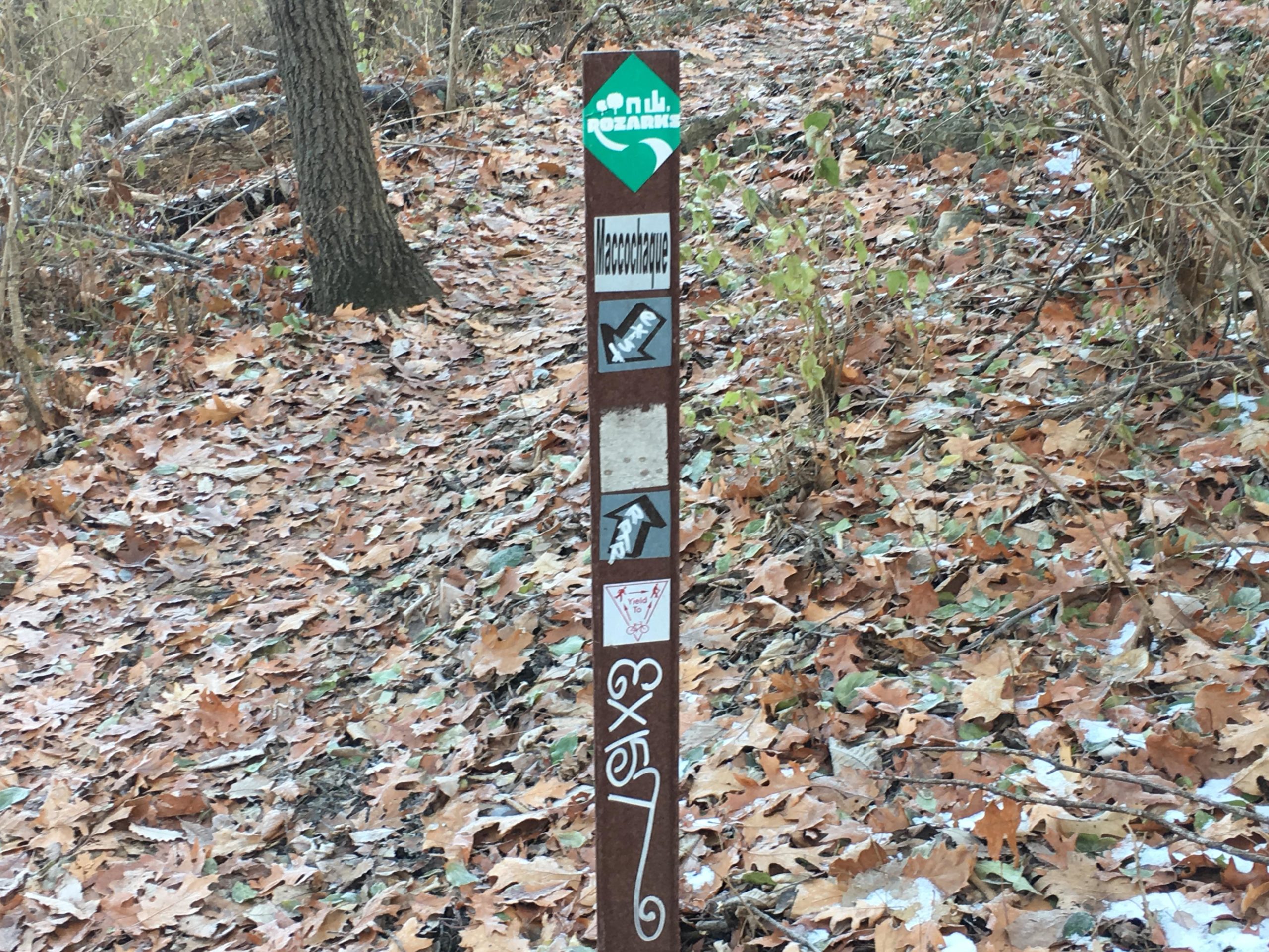 Trail marker sign in a wooded area, surrounded by fallen leaves. The sign features various symbols and markings indicating the trail and directions, with a green arrow pointing upward. The ground is covered with a mix of dry and slightly damp leaves, typical of autumnal scenery. Rozarks mountain bike trail.