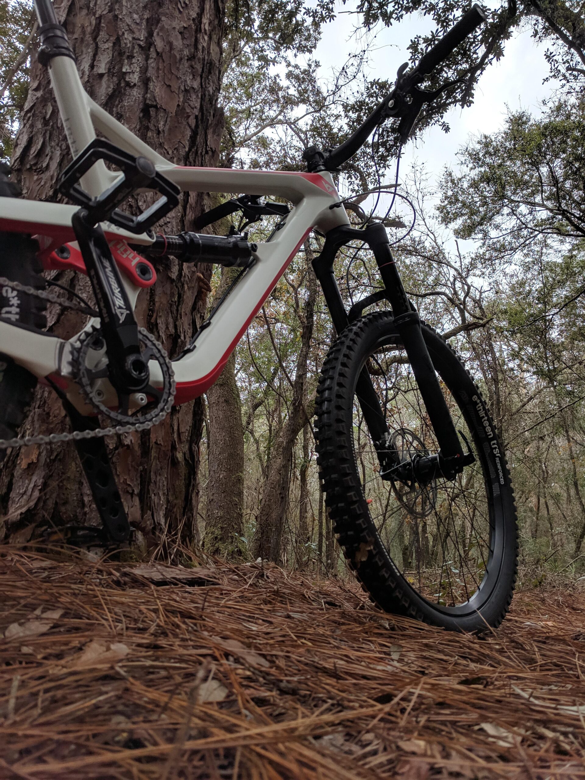 YT Industries YT Jeffsy CF: A close-up view of a bicycle leaning against a tree in a wooded area, with pine needles on the ground. The bike features a white frame with red accents, visible gears, and thick, treaded tires, suitable for off-road biking. The background shows tall trees and a cloudy sky.