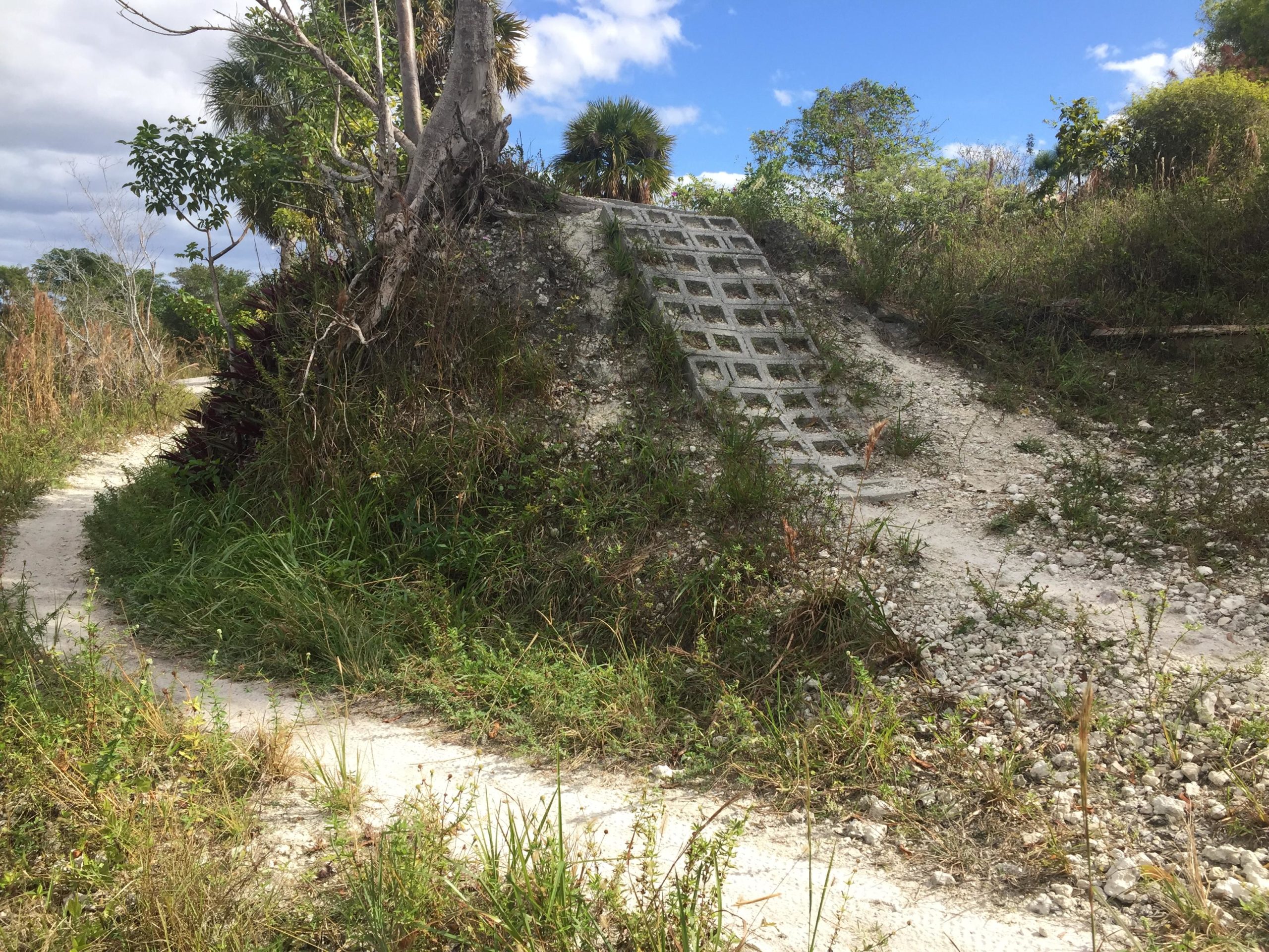 A winding dirt path leads through a grassy area, with a small hill on one side featuring a concrete ramp for access. The scene is framed by lush greenery, including trees and shrubs, under a partly cloudy sky. Quiet Waters Park mountain bike trail.