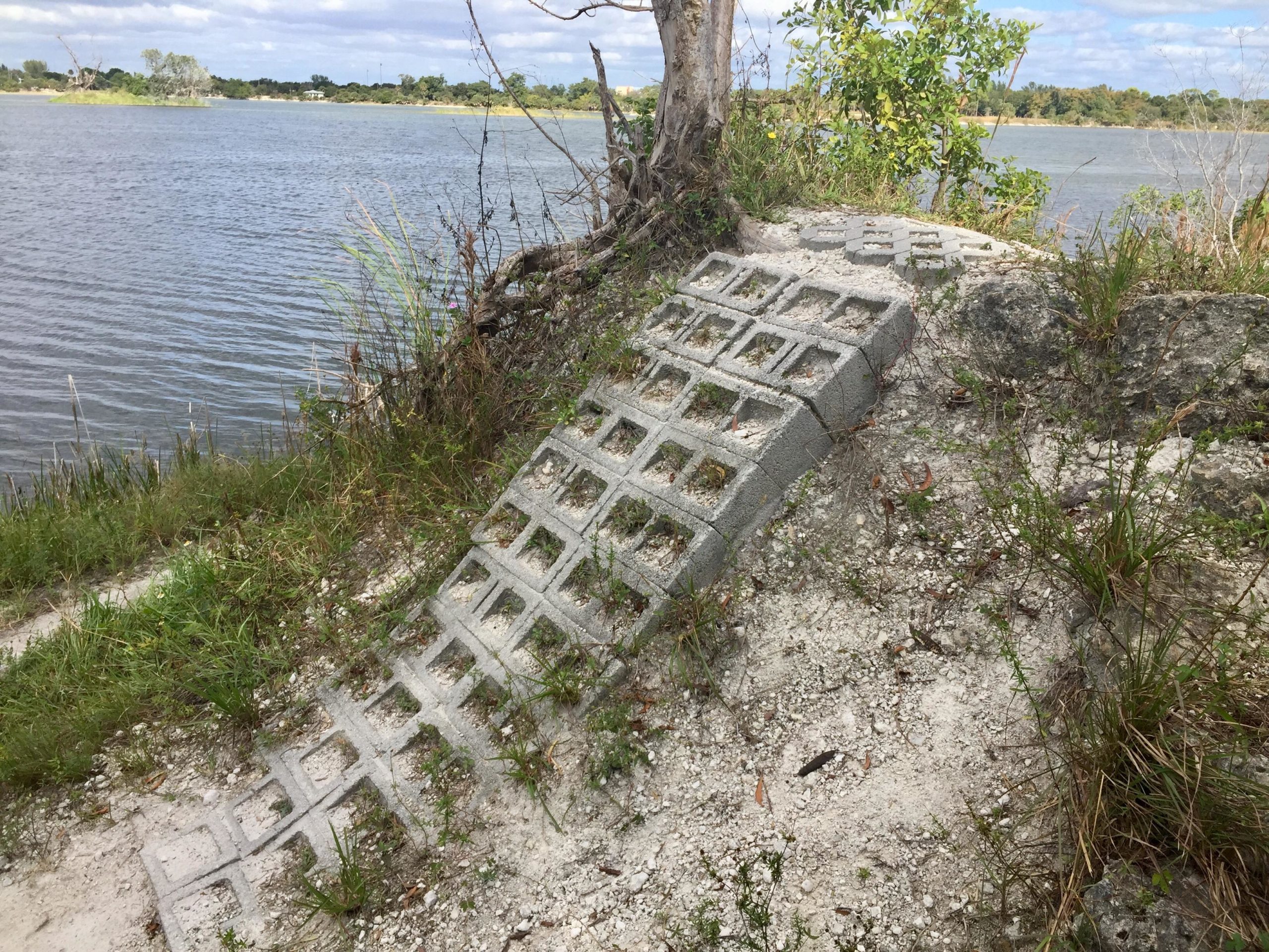 A concrete ramp with a grid pattern leads down to a calm body of water, surrounded by grassy vegetation and scattered rocks. In the background, trees can be seen along the water's edge under a partly cloudy sky. Quiet Waters Park mountain bike trail.