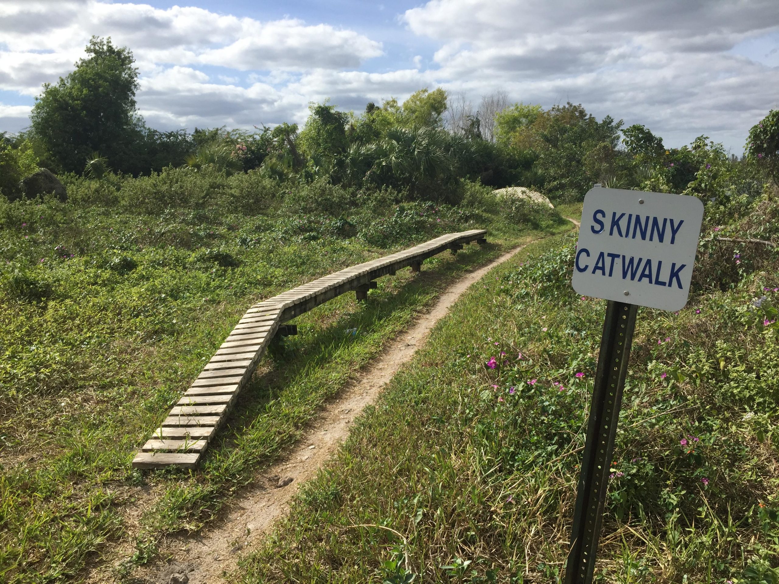 A wooden catwalk curves through a green natural area, with a sign reading "SKINNY CATWALK" positioned beside it. The path appears to lead into a lush environment filled with plants and trees under a partly cloudy sky. Quiet Waters Park mountain bike trail.