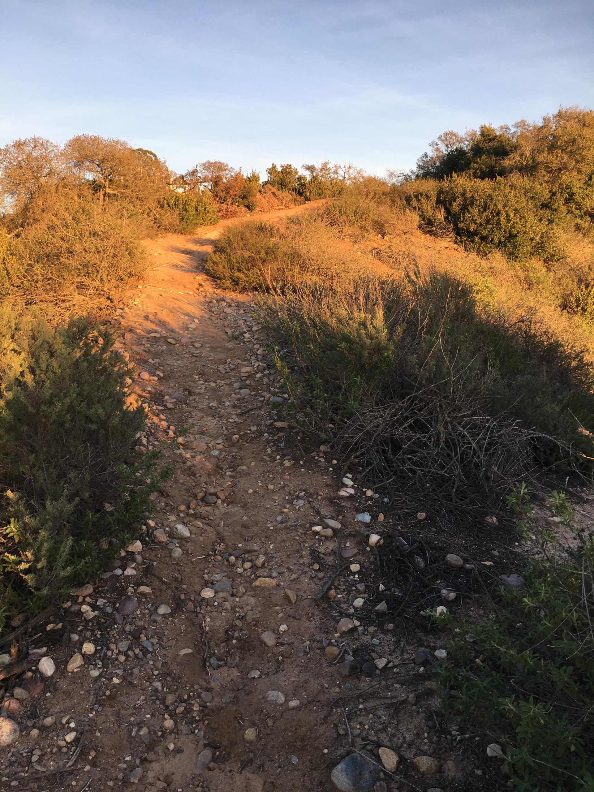 A winding dirt path leads up a gentle hill, flanked by shrubs and rocky terrain under a clear sky. The sunlight casts warm hues over the landscape, highlighting the natural beauty of the surroundings. Lagartos mountain bike trail.