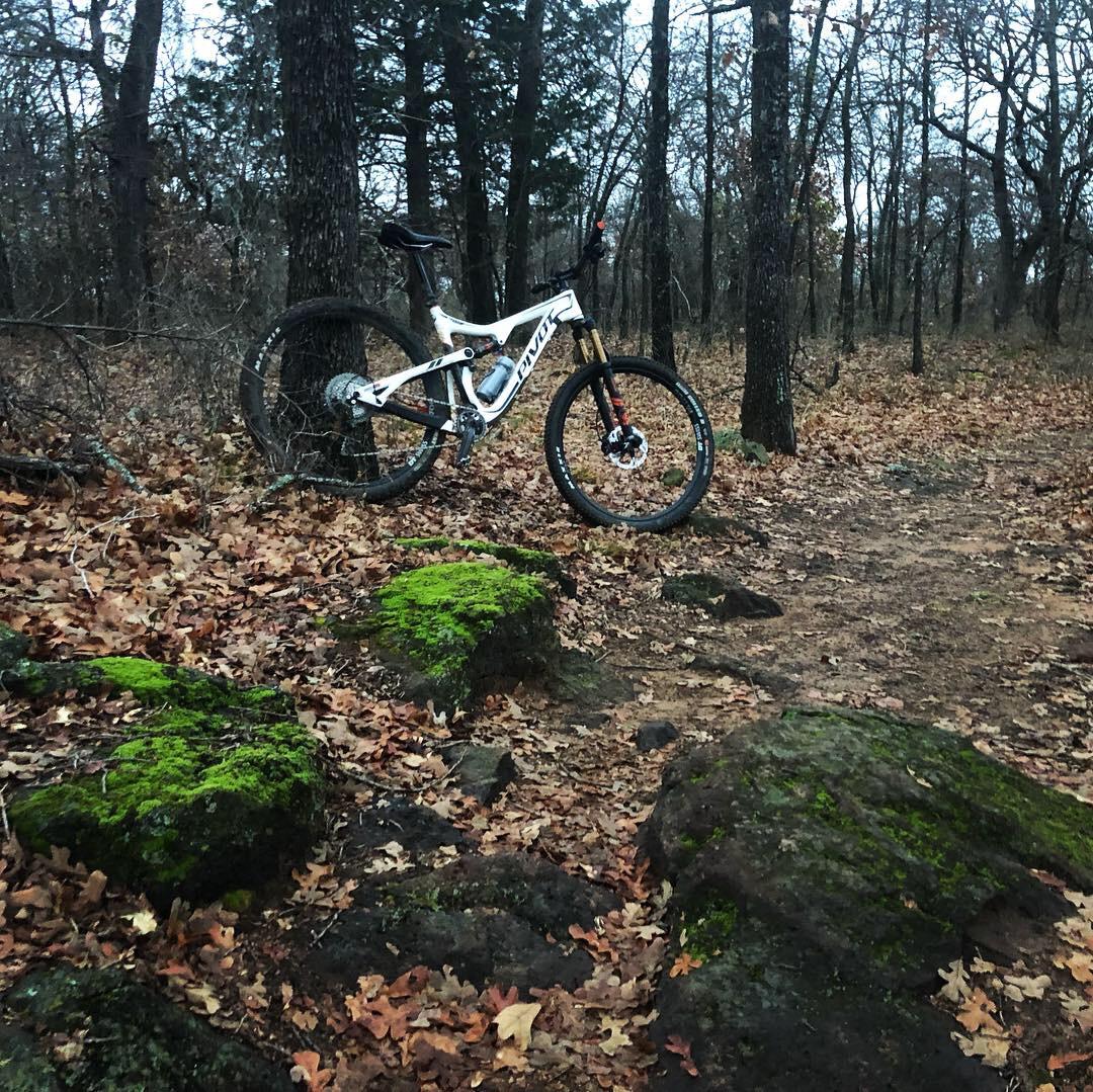 Pivot 429 Trail XT/XTR Pro: A mountain bike leans against a tree in a wooded area during autumn, surrounded by fallen leaves and moss-covered rocks. The scene is slightly overcast, creating a serene outdoor atmosphere.