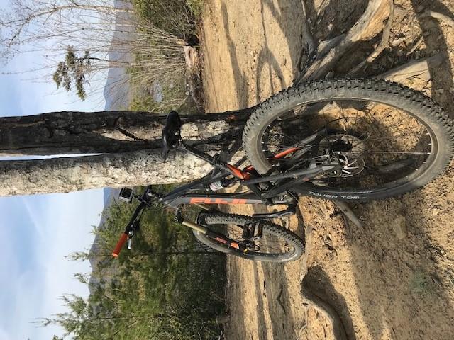 A mountain bike leaning against a tree on a sandy trail, surrounded by greenery and distant hills under a clear blue sky. Tsali Recreation Area mountain bike trail.