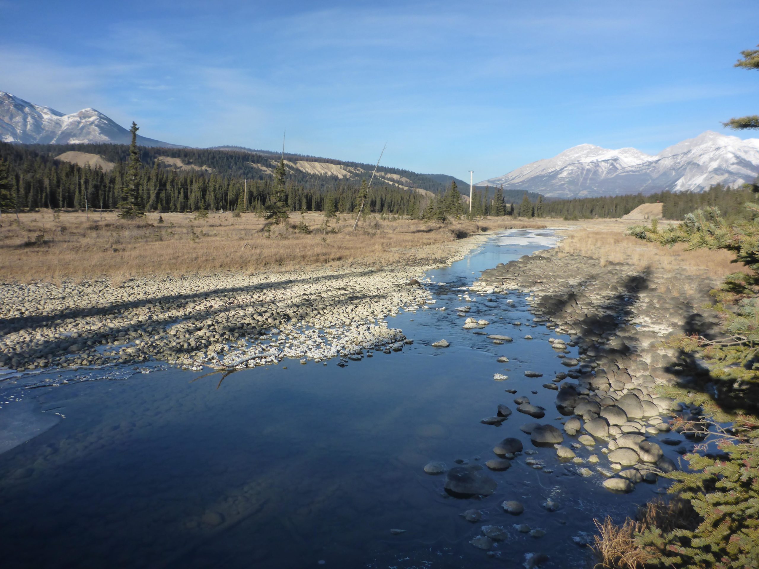 A tranquil riverside scene featuring a gently flowing stream surrounded by pebbles and gravel, with tall evergreen trees lining the banks. In the background, majestic mountains rise against a clear blue sky, some capped with snow, hinting at the changing seasons. The landscape is a mix of dry grass and vibrant greenery, creating a serene and picturesque natural setting. Trail 7 / 7H (Teahouse) mountain bike trail.