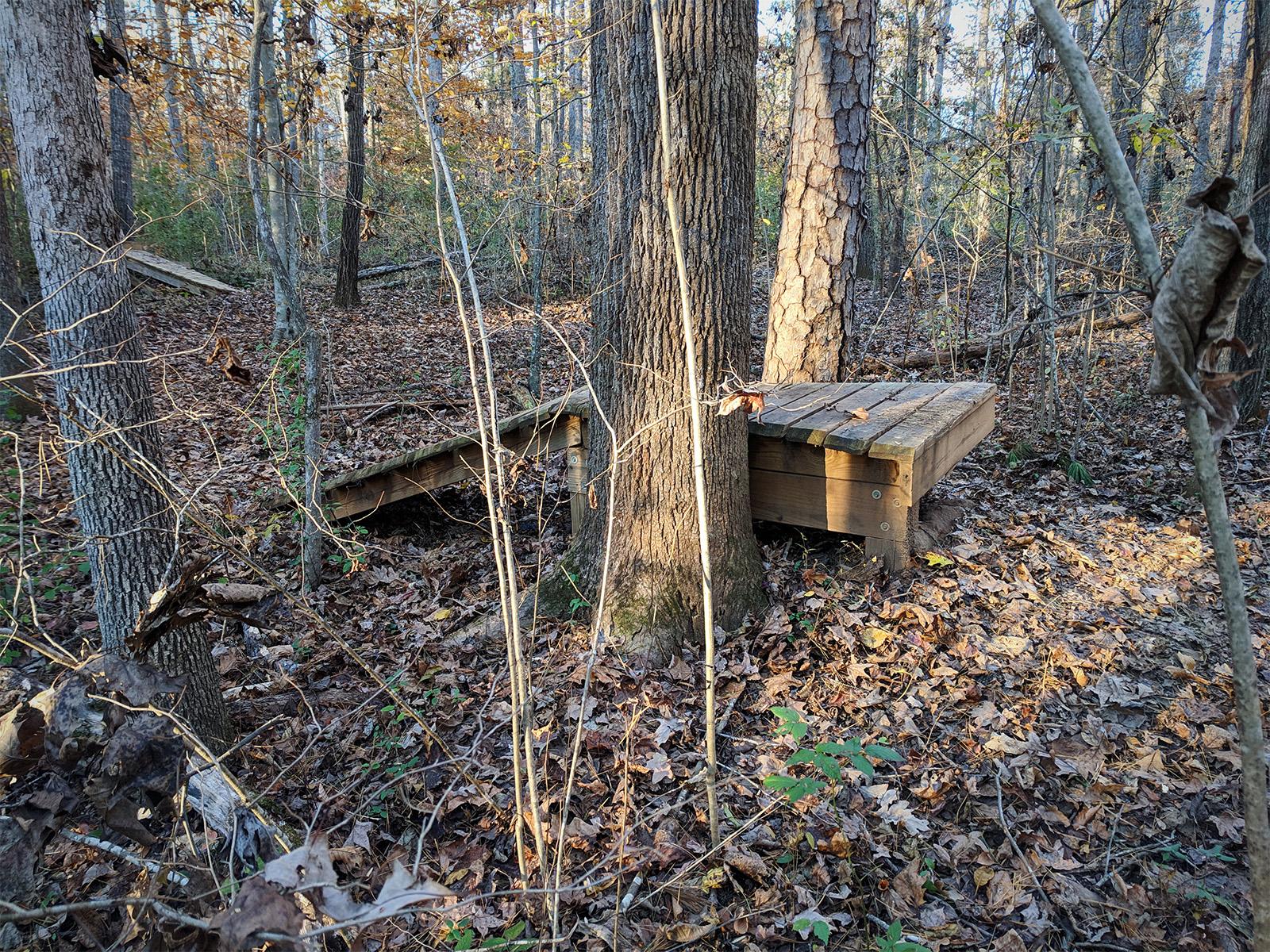 A wooden platform or toadstool structure nestled between trees in a forest, surrounded by fallen leaves and underbrush. The scene is illuminated by soft sunlight filtering through the trees. Fisher Farm Park mountain bike trail.