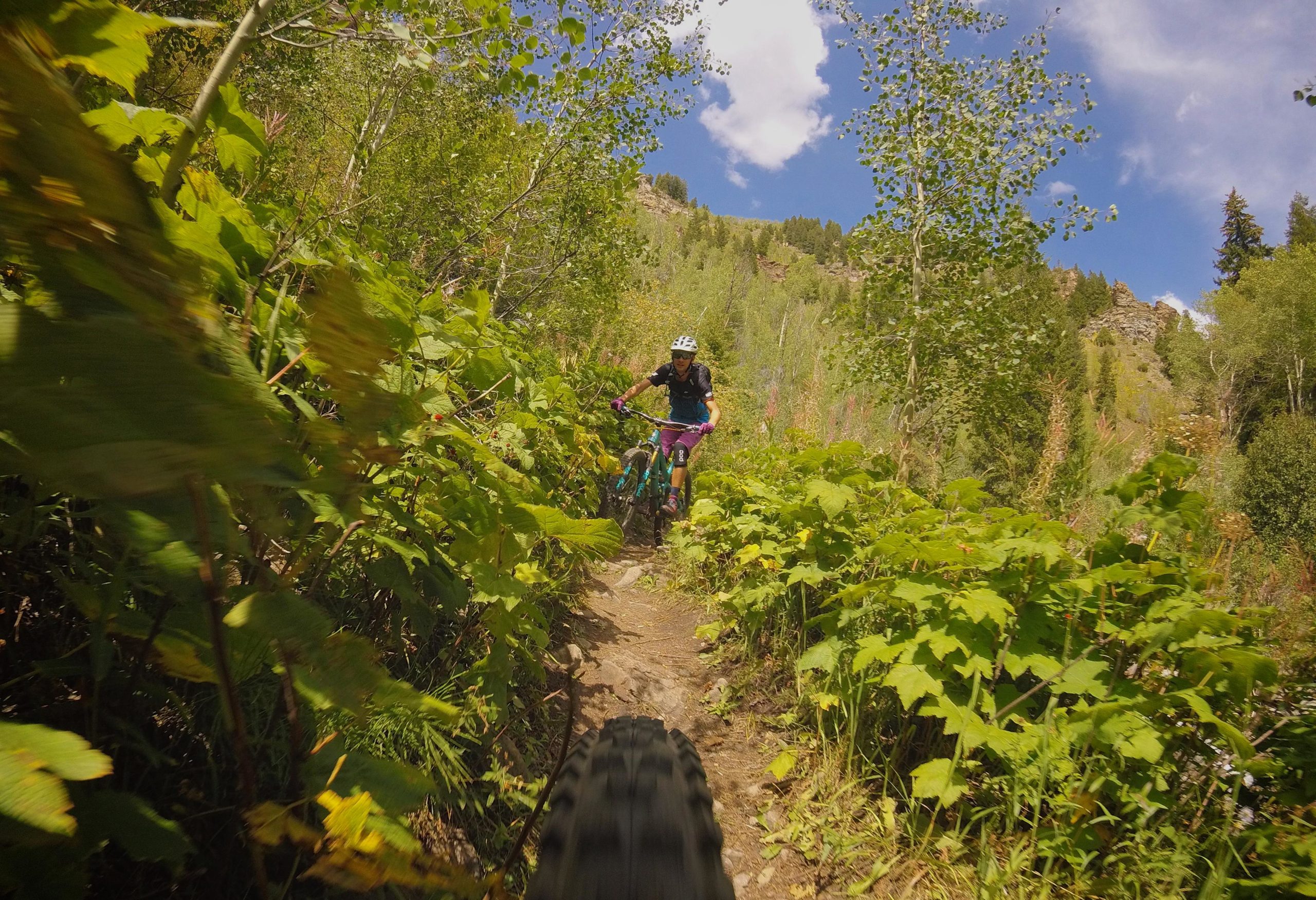 A mountain biker navigating a narrow trail surrounded by lush greenery and trees, with a bright blue sky and scattered clouds above. The perspective is from the front of the bike, showing the tire in the foreground and the cyclist focused on the path ahead. Two Elk via Vail Pass mountain bike trail.