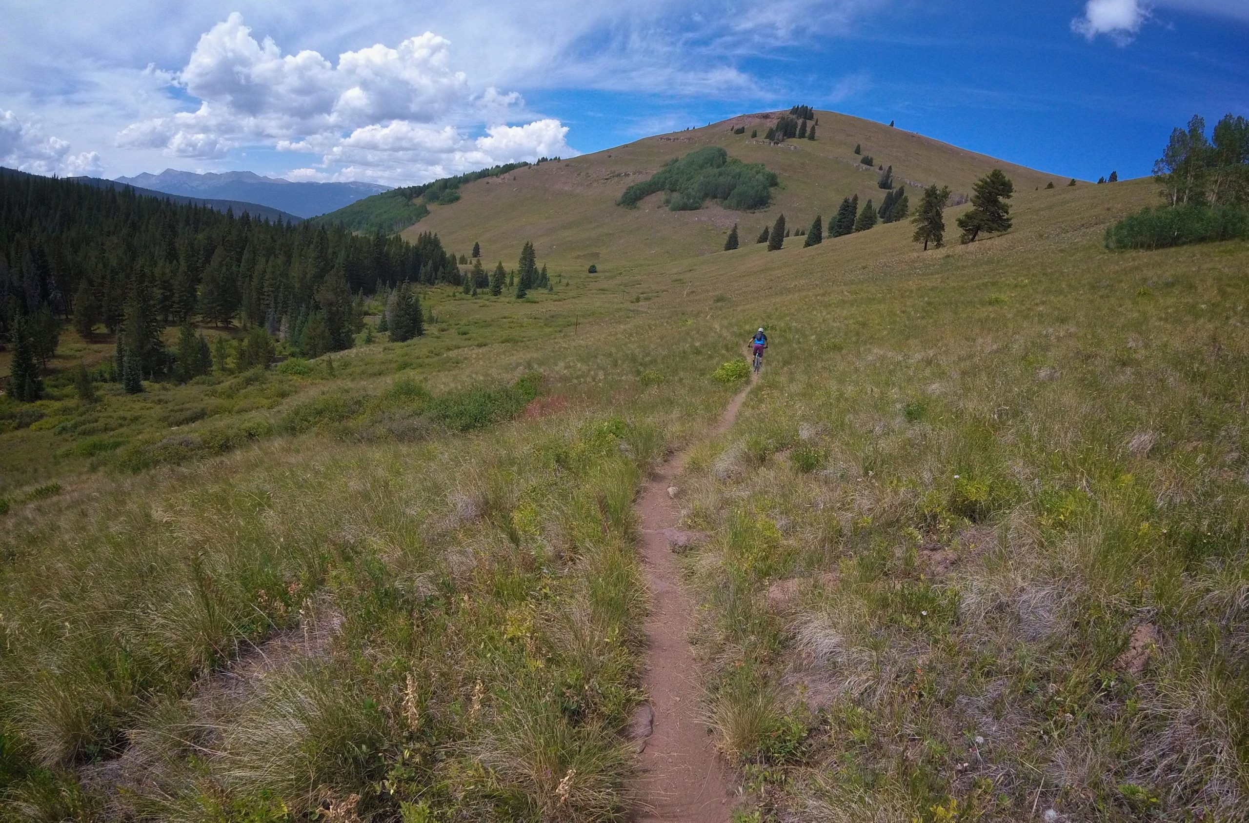 A person riding a mountain bike along a narrow dirt trail in a grassy meadow. The background features rolling hills with patches of trees, under a bright blue sky with fluffy white clouds. The landscape showcases a blend of greenery and mountains, suggesting a serene outdoor setting. Two Elk via Vail Pass mountain bike trail.