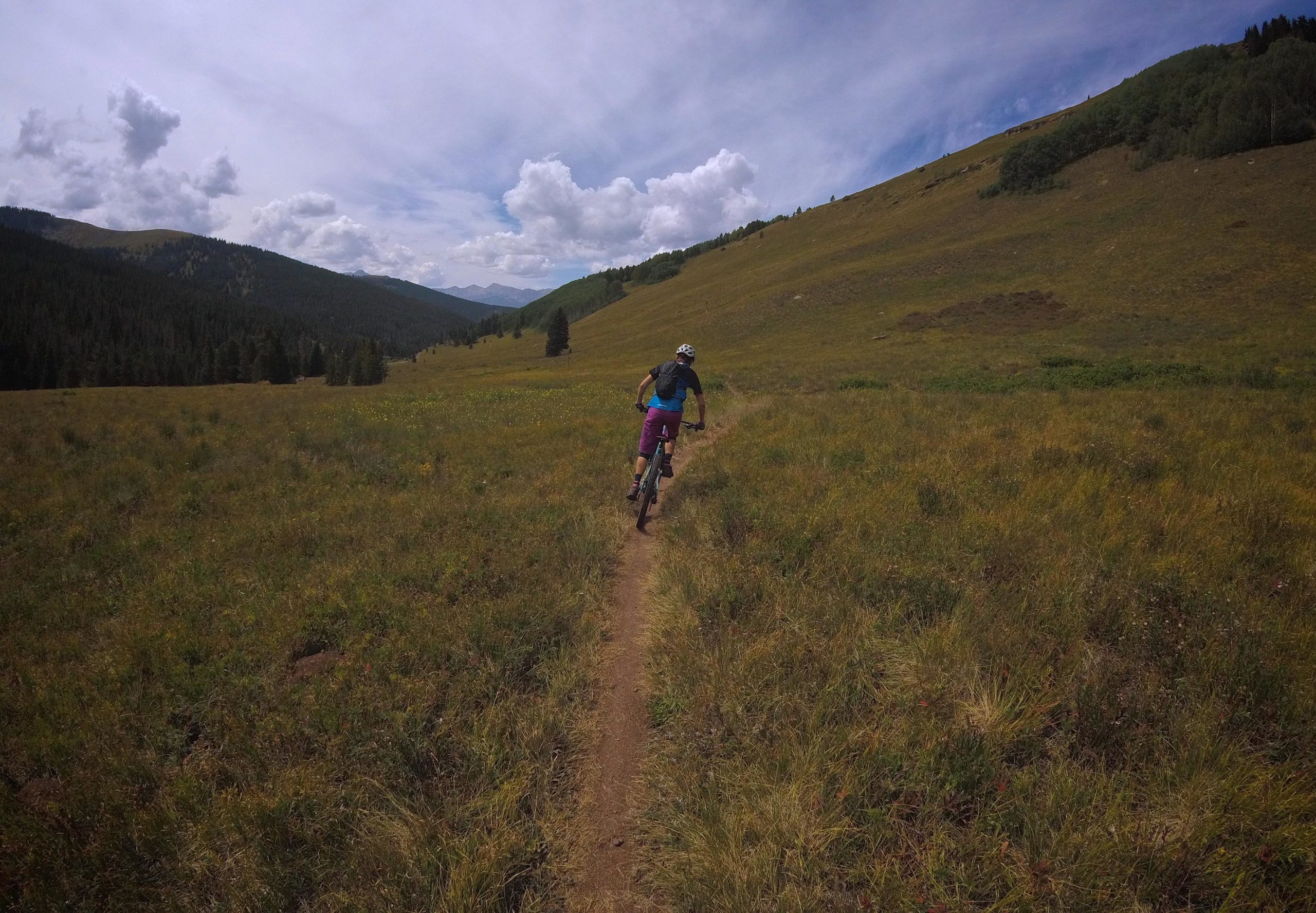A mountain biker rides along a narrow dirt path through a vibrant green meadow, surrounded by rolling hills and distant mountains under a partly cloudy sky. Two Elk via Vail Pass mountain bike trail.