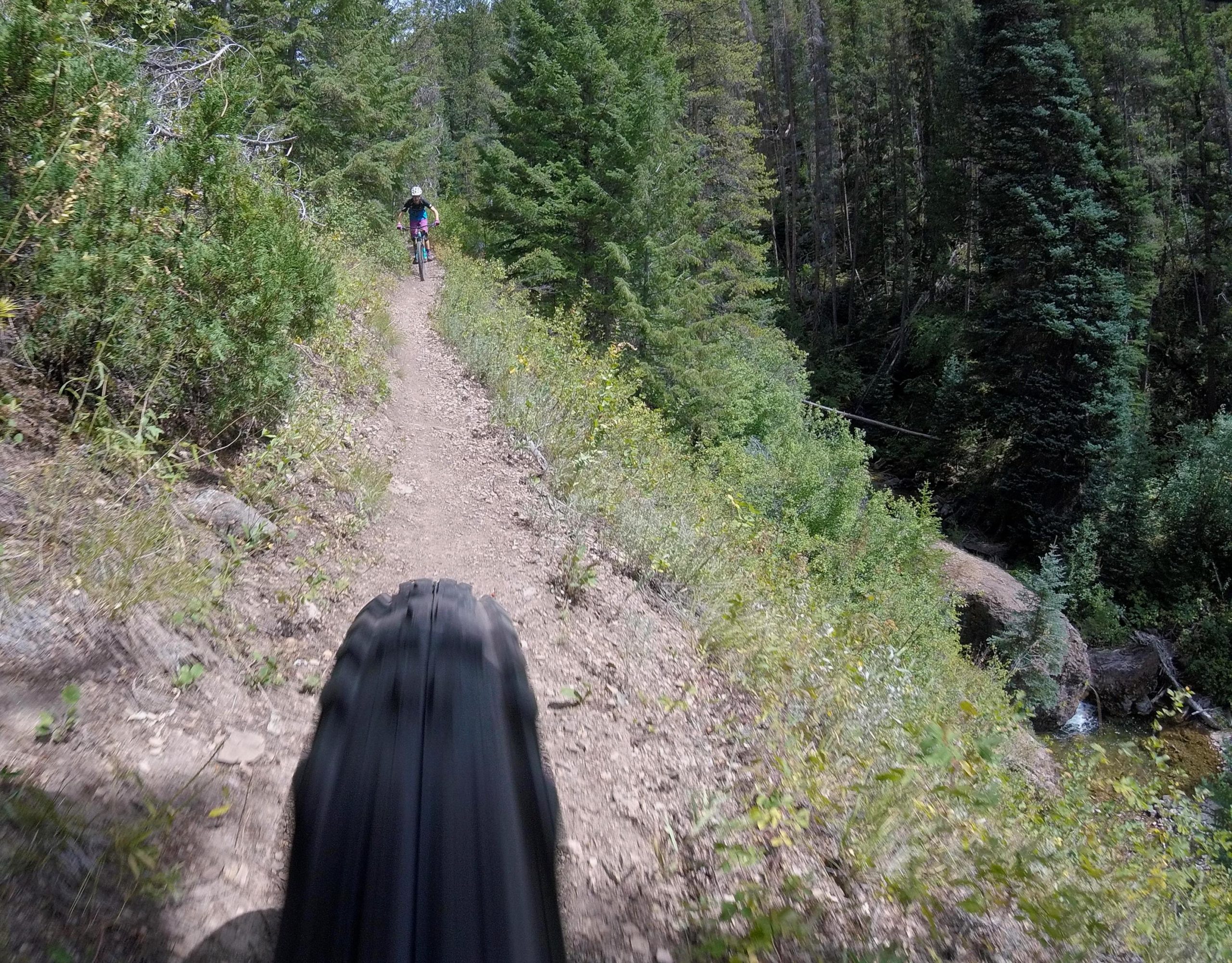 A mountain biker riding down a narrow dirt trail surrounded by lush greenery and tall trees, with the front tire of the bike in the foreground. Two Elk via Vail Pass mountain bike trail.