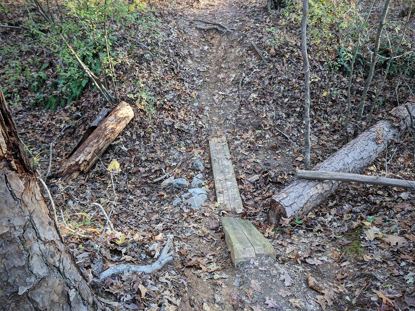 A narrow dirt path winding through a wooded area, featuring fallen logs and wooden planks acting as a makeshift bridge over uneven terrain covered with autumn leaves. Fisher Farm Park mountain bike trail.