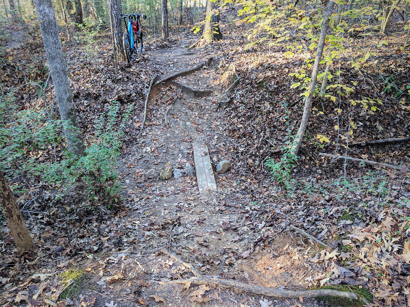 A winding dirt trail in a forested area, covered with fallen leaves, leads down to a small ravine. Two wooden planks serve as a bridge over a gap in the trail. In the background, there's a blue bicycle leaning against a tree. Surrounding the path are various trees and shrubs, creating a serene natural environment. Fisher Farm Park mountain bike trail.