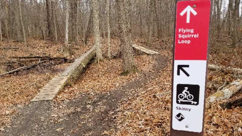 A trail sign indicating the Flying Squirrel Loop, with a fork in the path. The left path includes a wooden bridge, and the sign features icons for biking and the term "Skinny." The surrounding area has fallen leaves and is set in a wooded environment. Oak Openings -- Beach Ridge Singletrack Trail mountain bike trail.