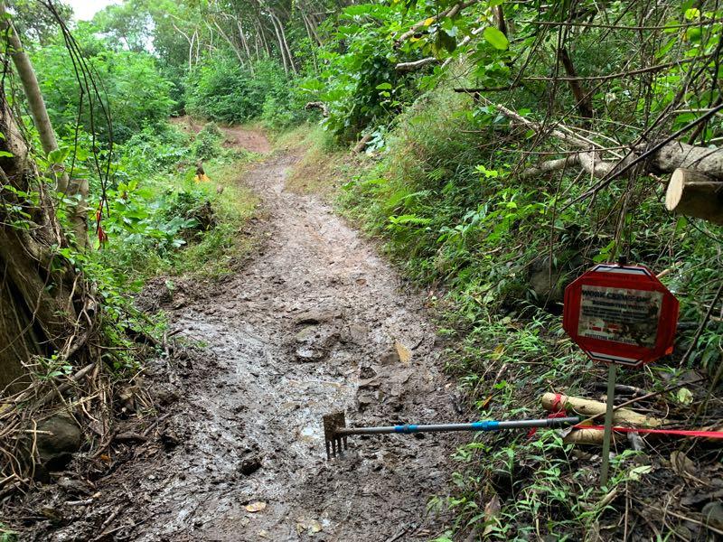 A muddy trail winding through a lush green forest, with a sign warning of trail conditions and a gardening fork leaning against a post. Ohana Trail mountain bike trail.