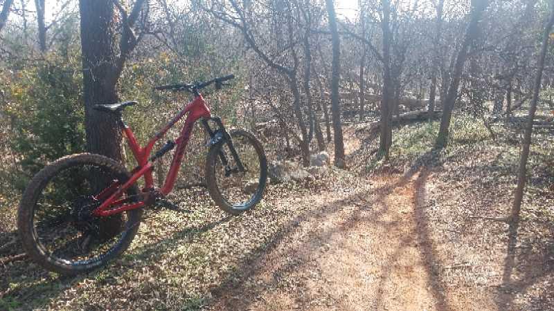 A red mountain bike leaning against a tree on a dirt trail surrounded by bare trees and brush, with sunlight filtering through the branches. A winding path is visible in the background. Wee-chi-ta mountain bike trail.