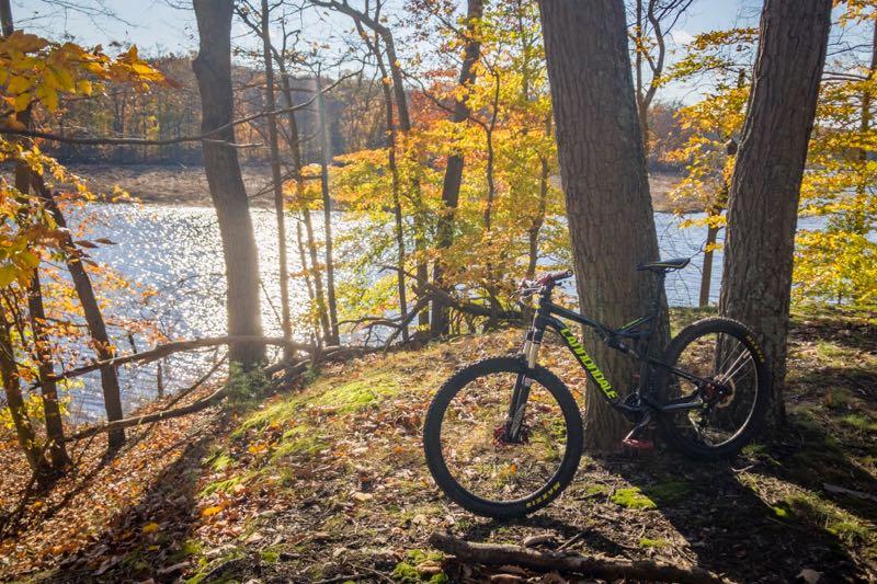 A mountain bike leaning against two trees beside a shimmering river, surrounded by vibrant autumn foliage in shades of orange and yellow. Sunlight filters through the leaves, creating a warm, inviting atmosphere in a scenic outdoor setting. Rancocas State Park - Westampton mountain bike trail.